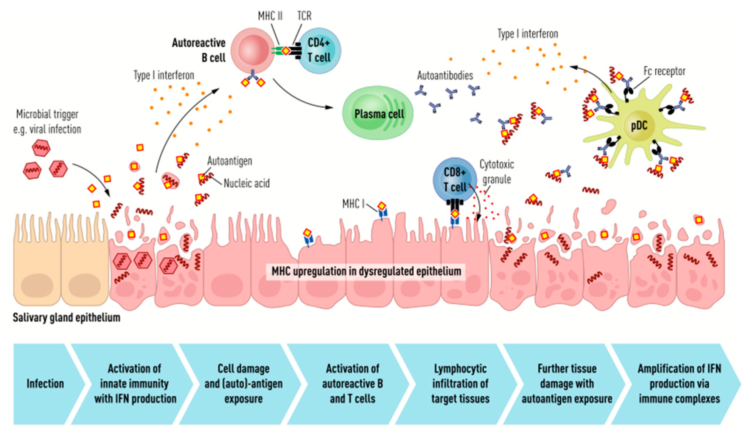 Jcm 11 05227 g001 Jcm 11 05227 g001