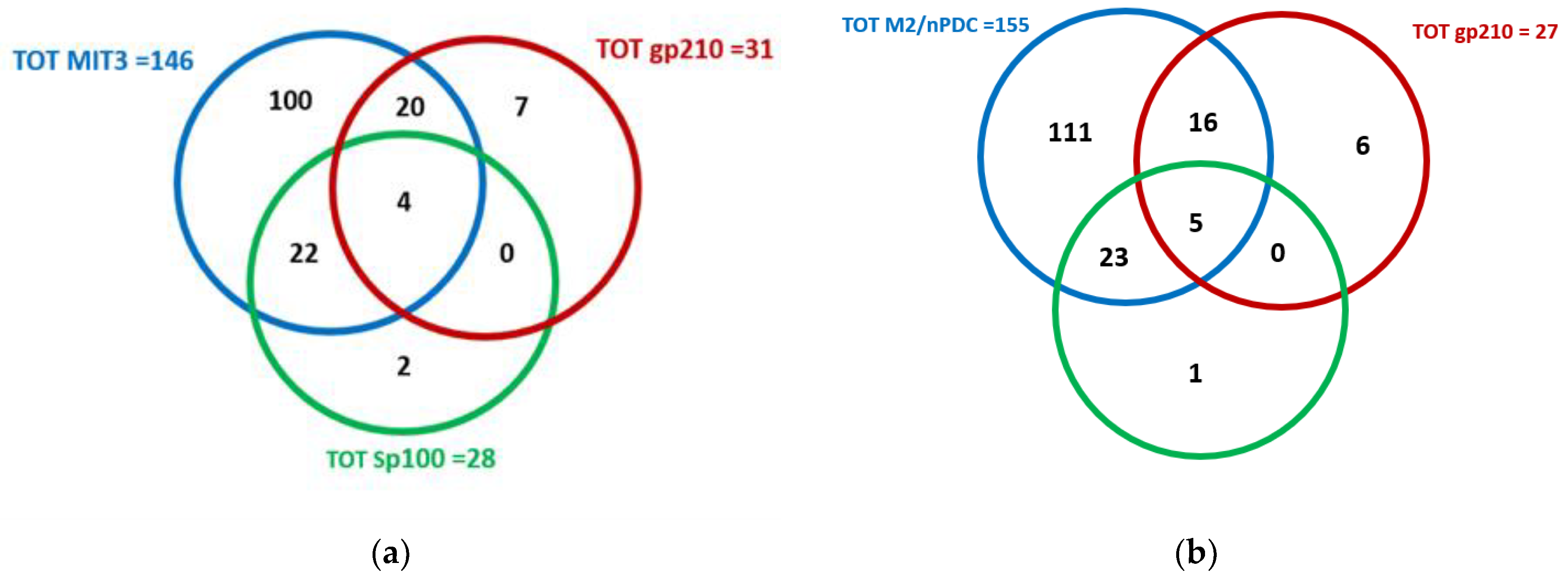 Jcm 11 05238 g002 550