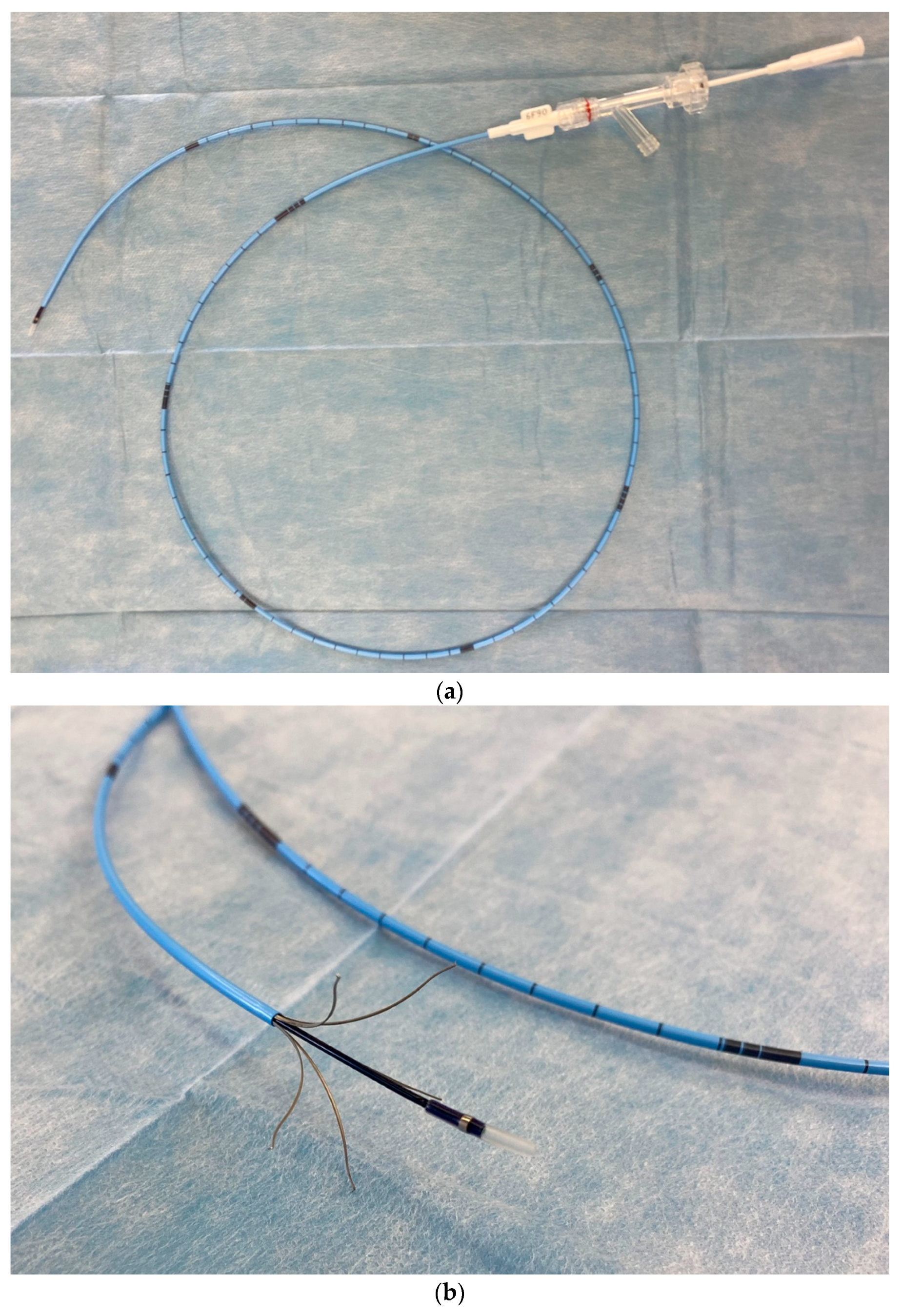 Jcm 11 05255 g001 550