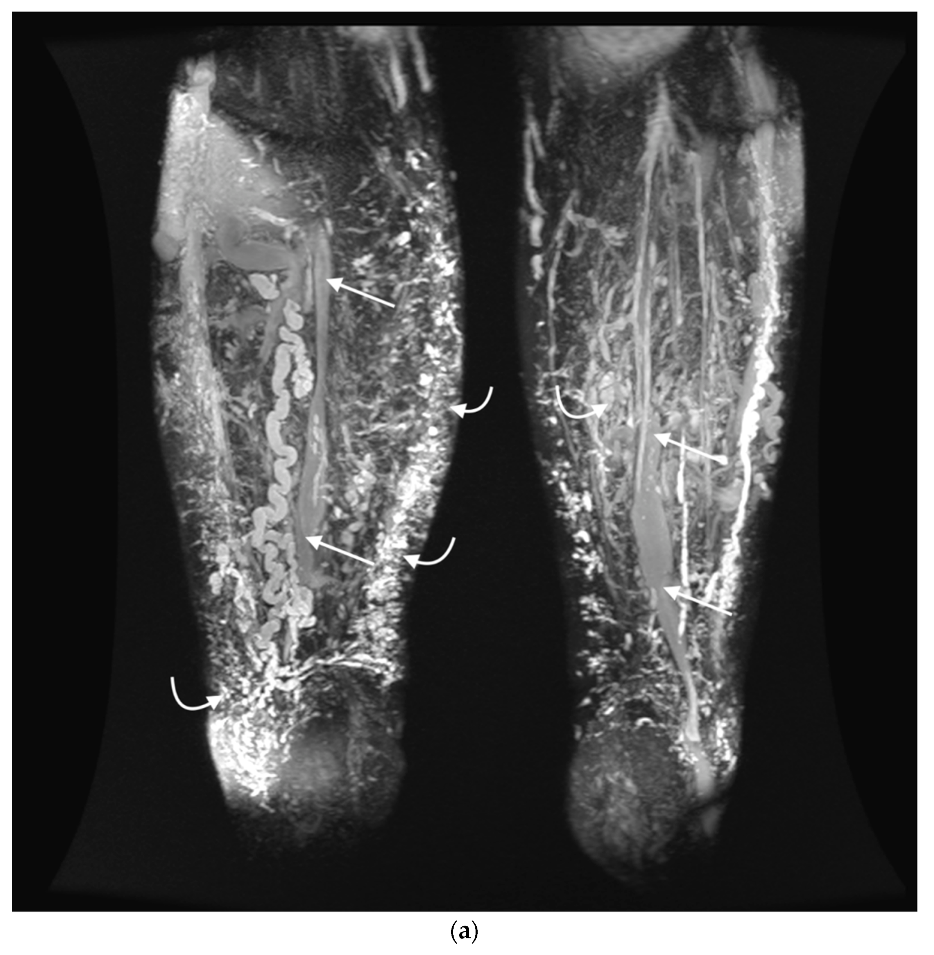 Jcm 11 05255 g002a 550