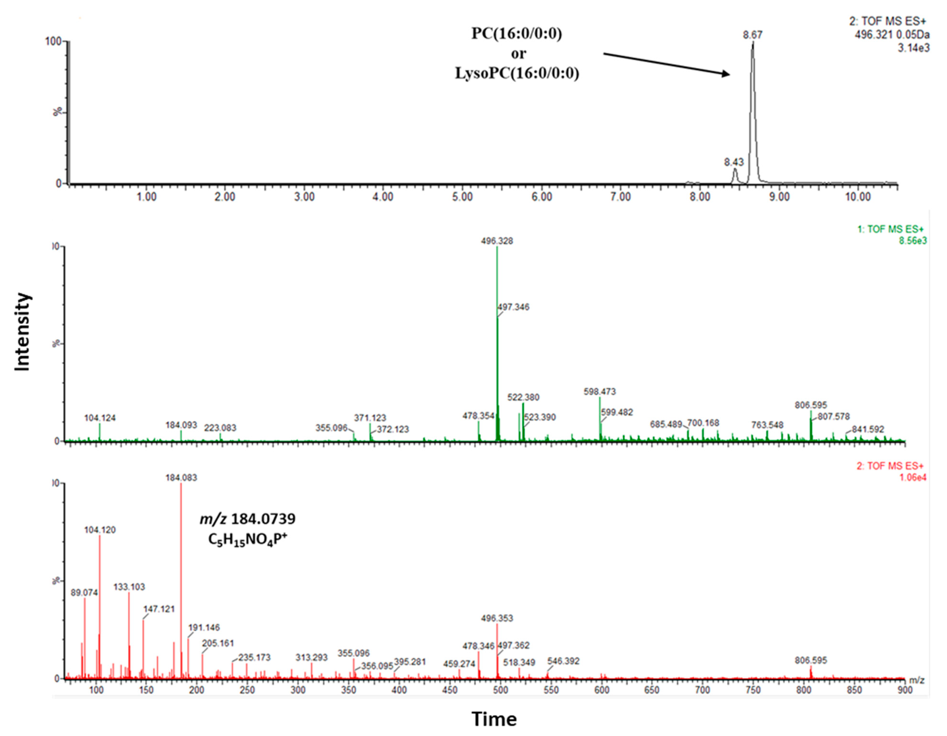 Jcm 11 05270 g005 550