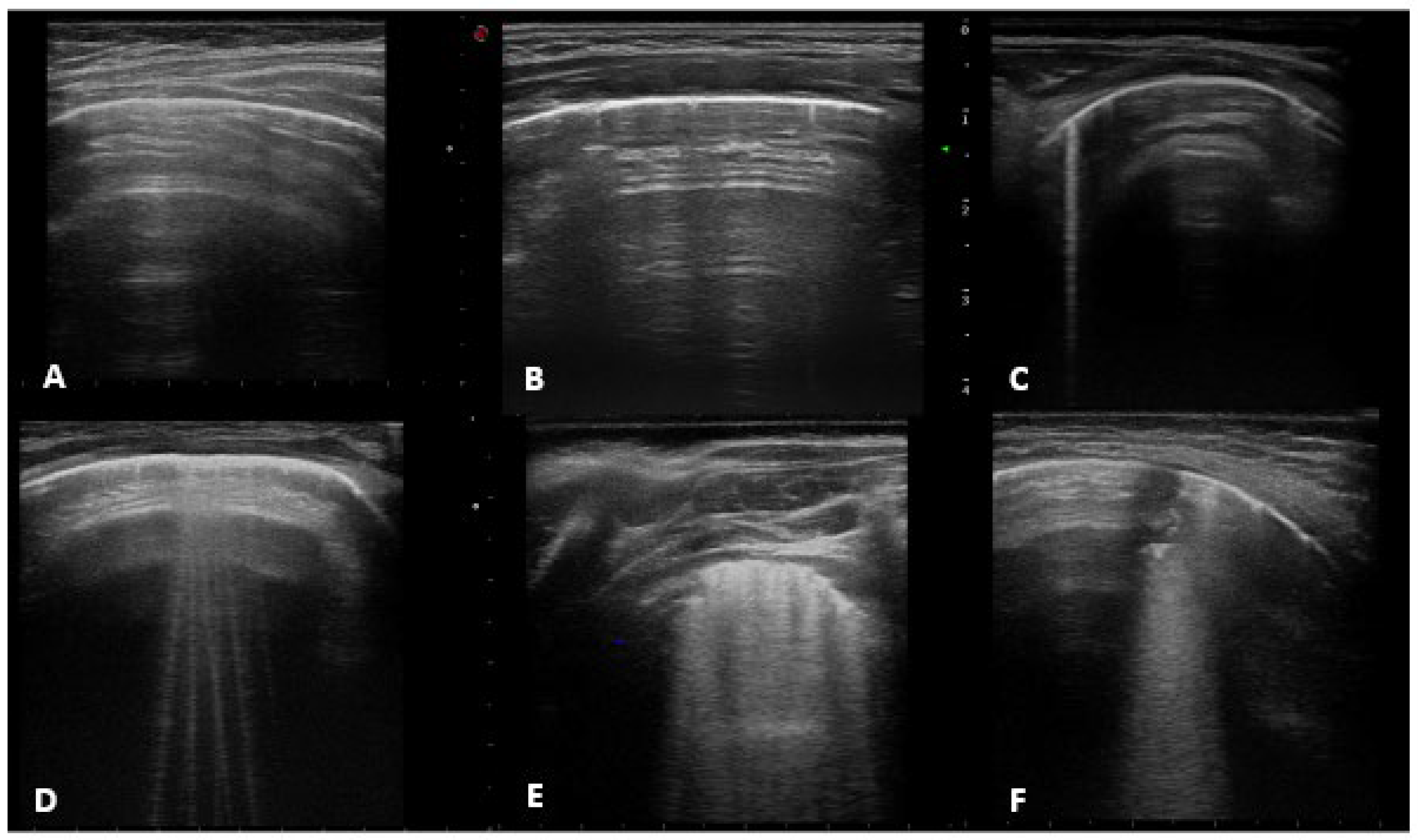 Jcm 11 05294 g001 Jcm 11 05294 g001