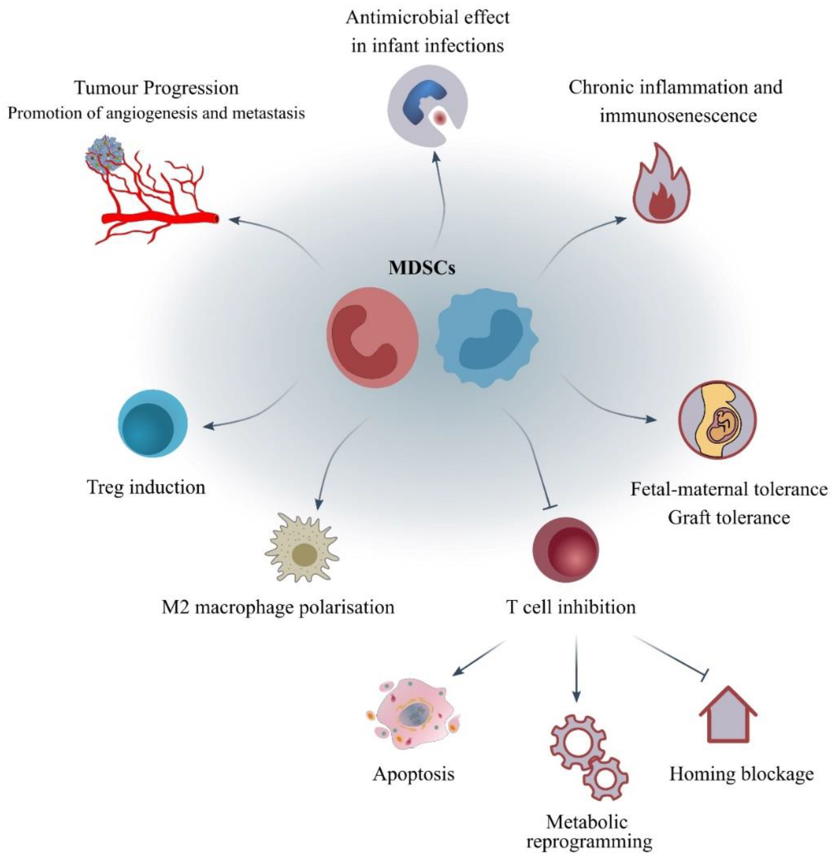 Jcm 11 05326 g002 Jcm 11 05326 g002