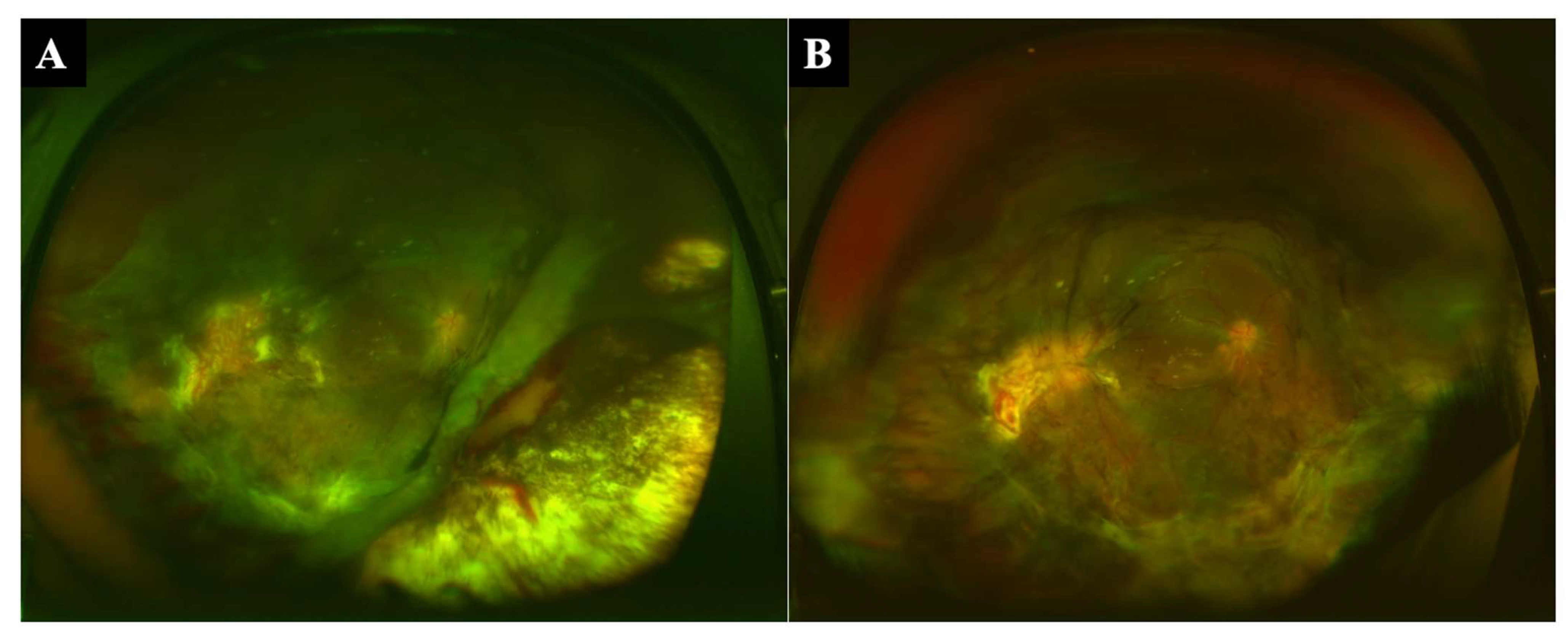 Jcm 11 05344 g001 550