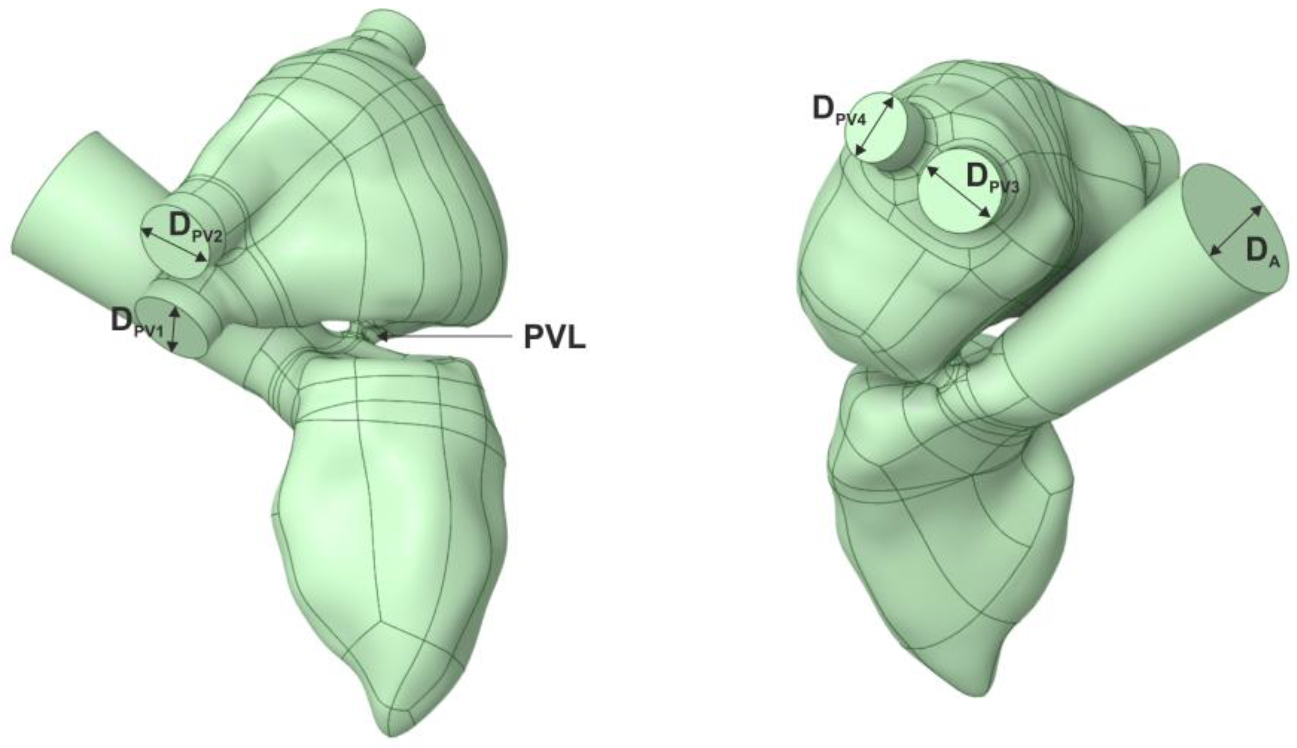 Jcm 11 05355 g001 550