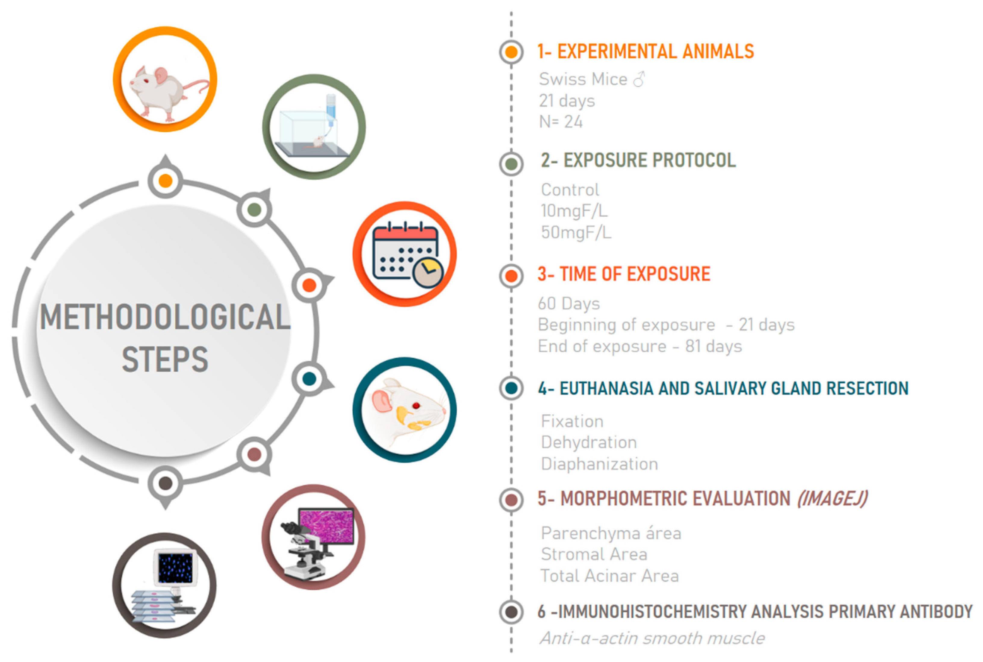 Jcm 11 05373 g001 Jcm 11 05373 g001