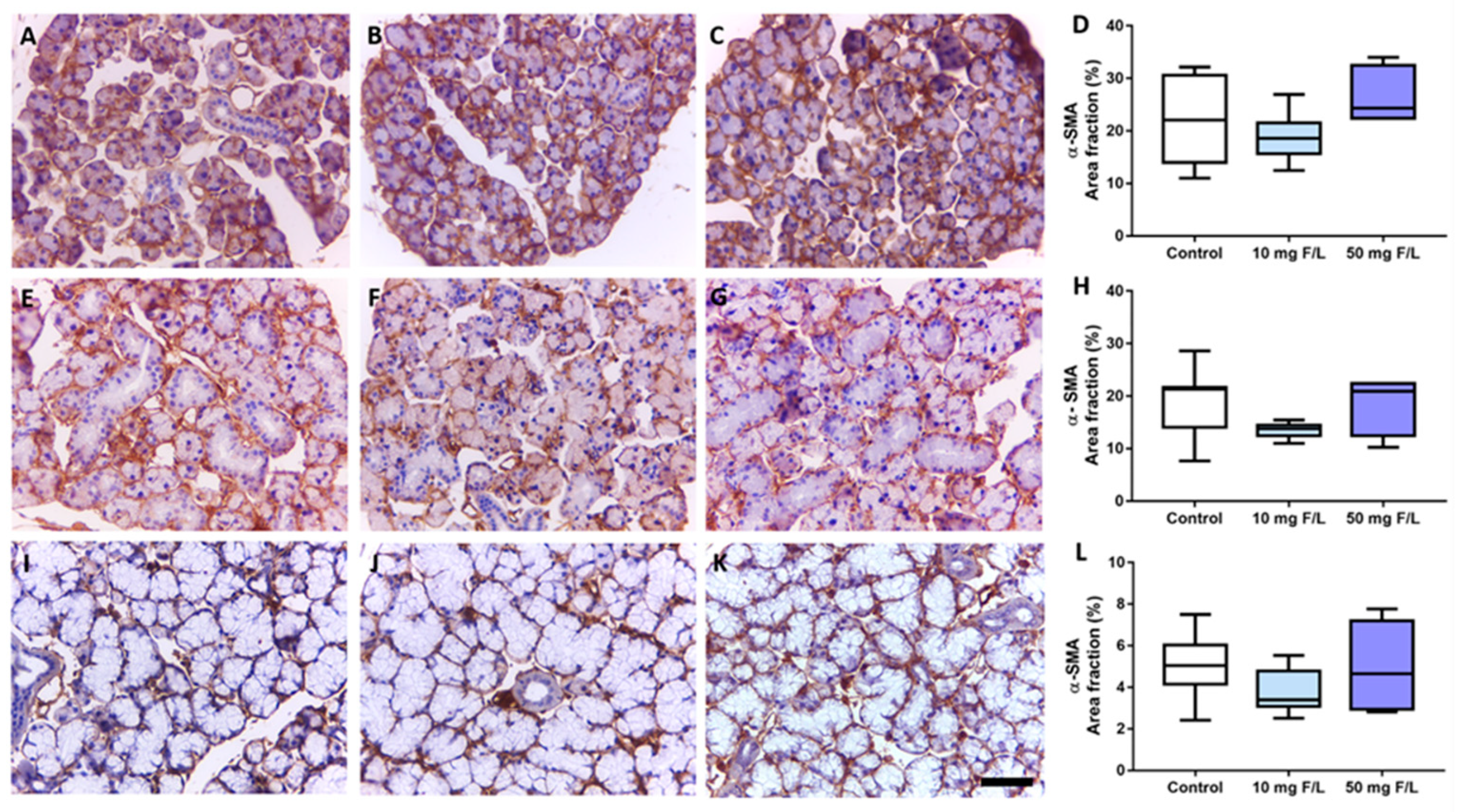 Jcm 11 05373 g004 Jcm 11 05373 g004