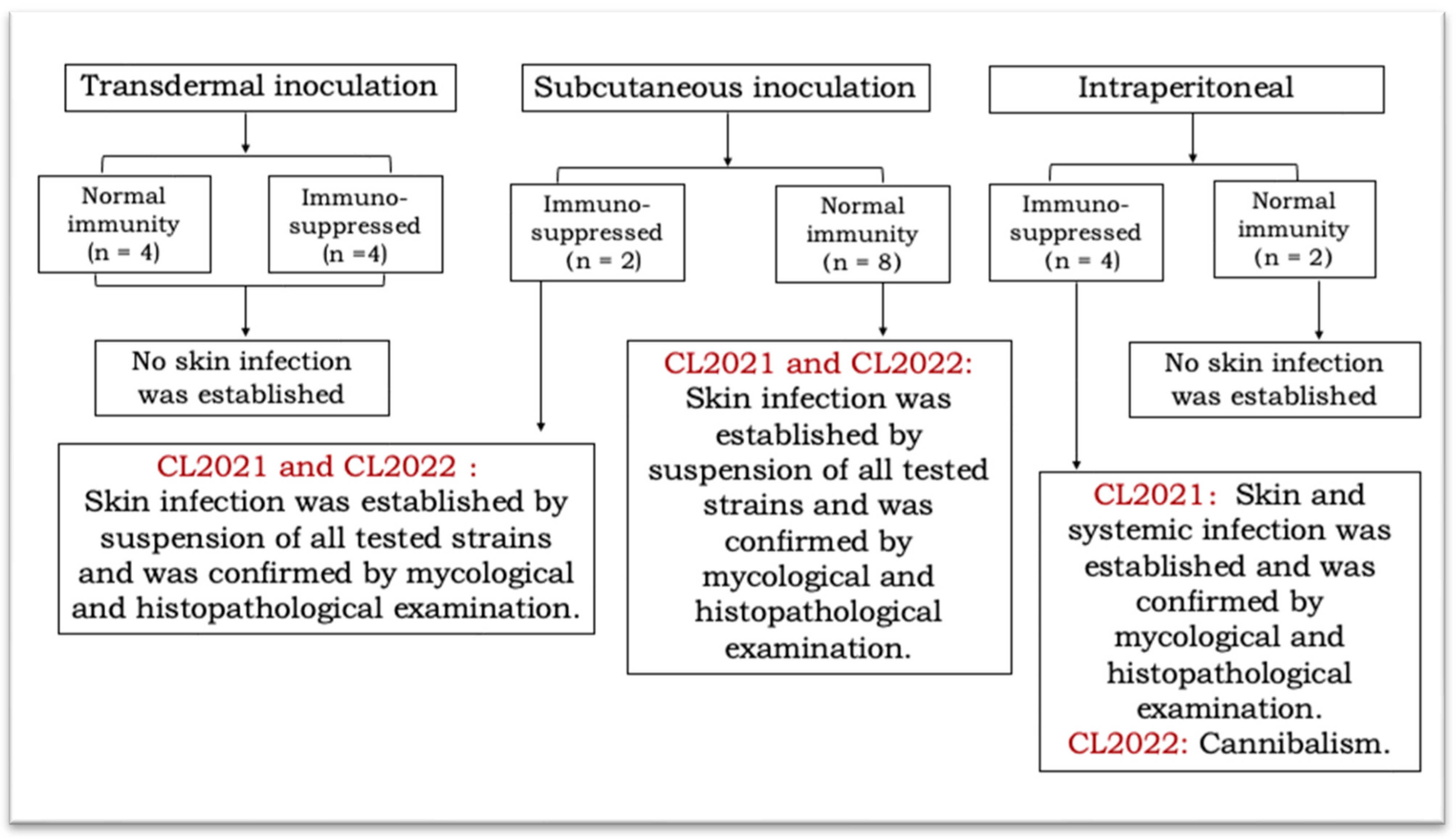 Jcm 11 05393 g001 Jcm 11 05393 g001