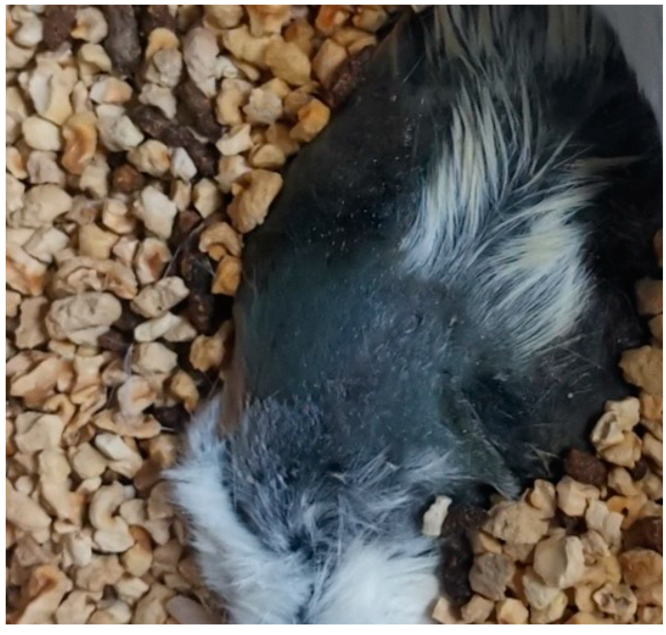 Jcm 11 05393 g007 Jcm 11 05393 g007