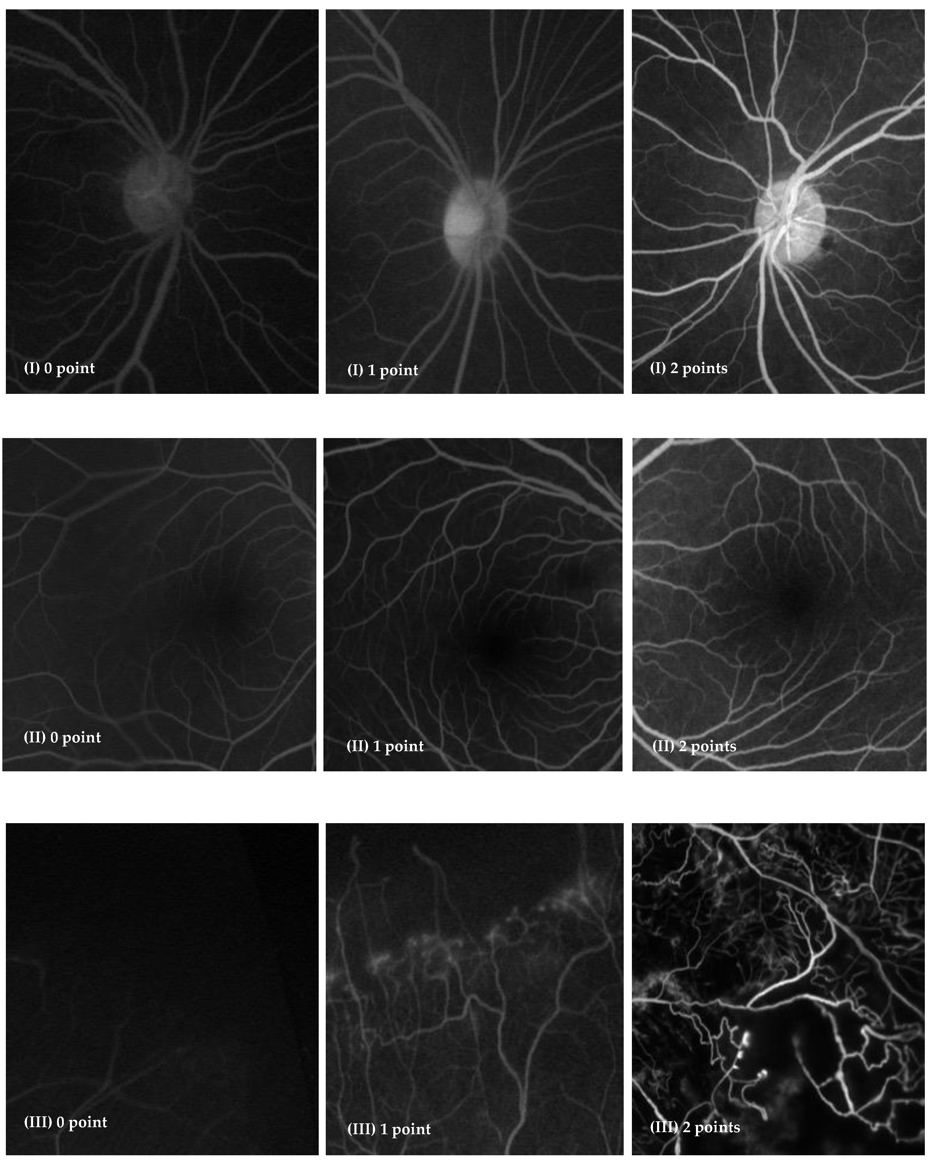 Jcm 11 05421 g001 Jcm 11 05421 g001