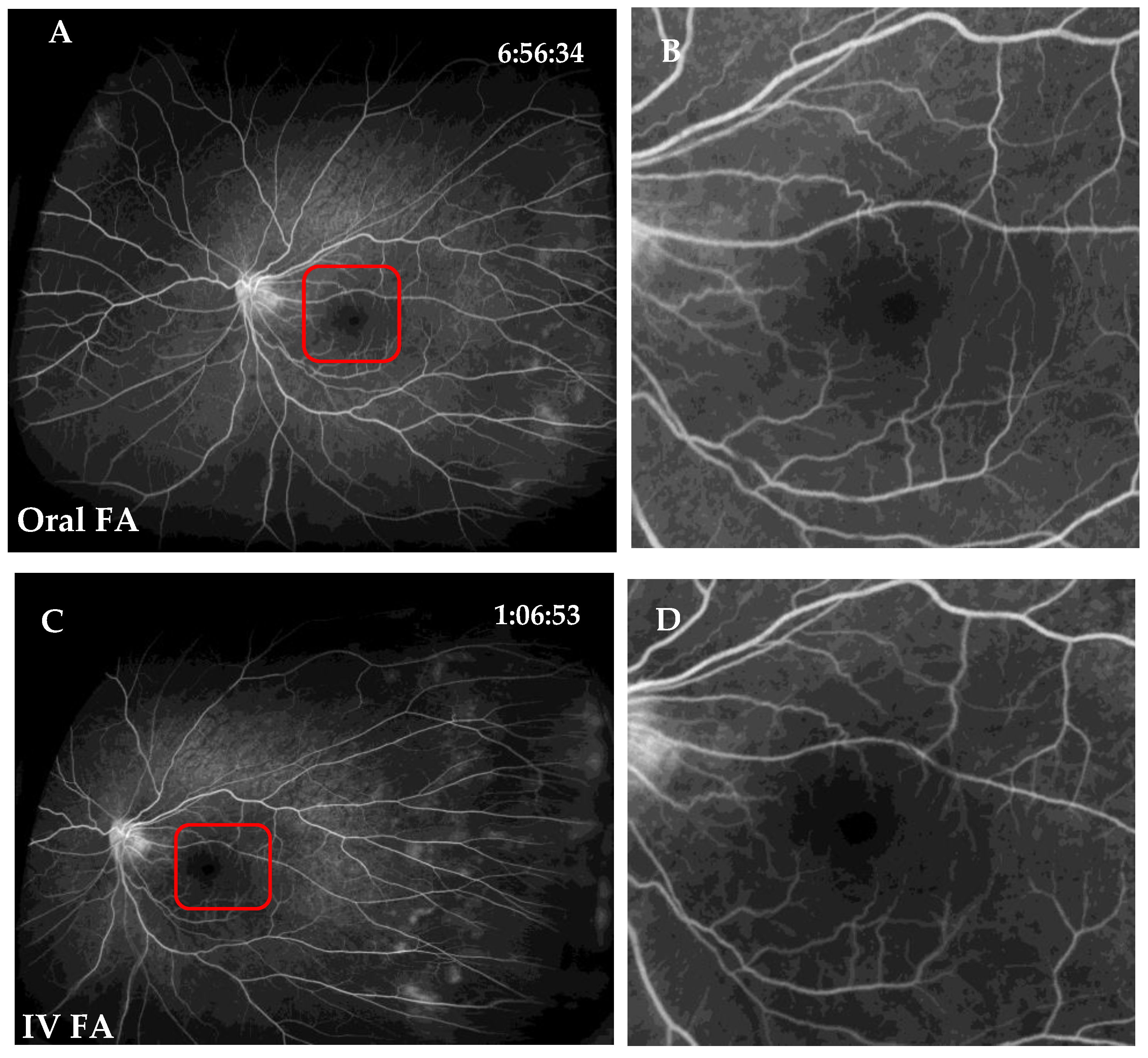 Jcm 11 05421 g002a Jcm 11 05421 g002a