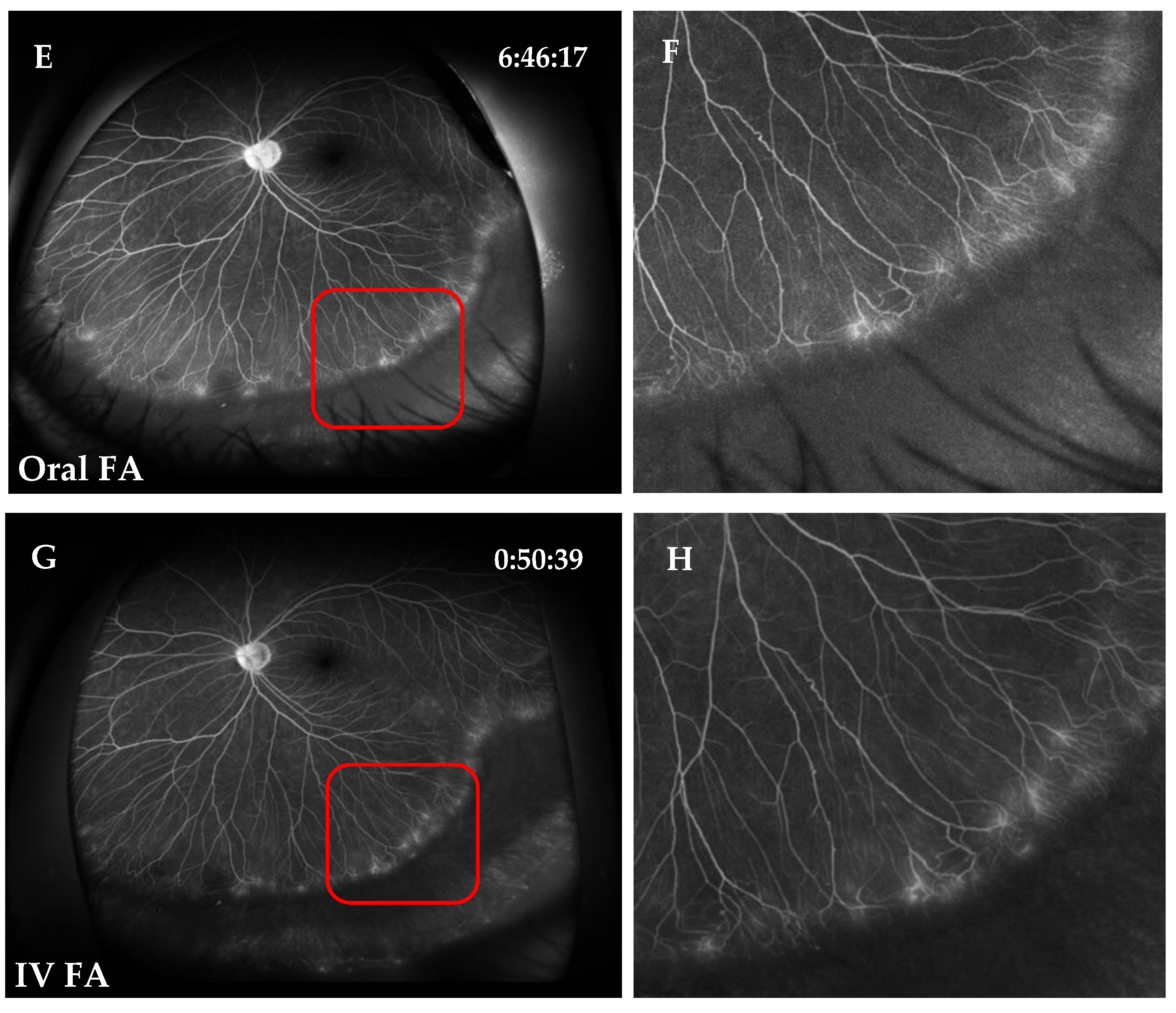 Jcm 11 05421 g002b Jcm 11 05421 g002b