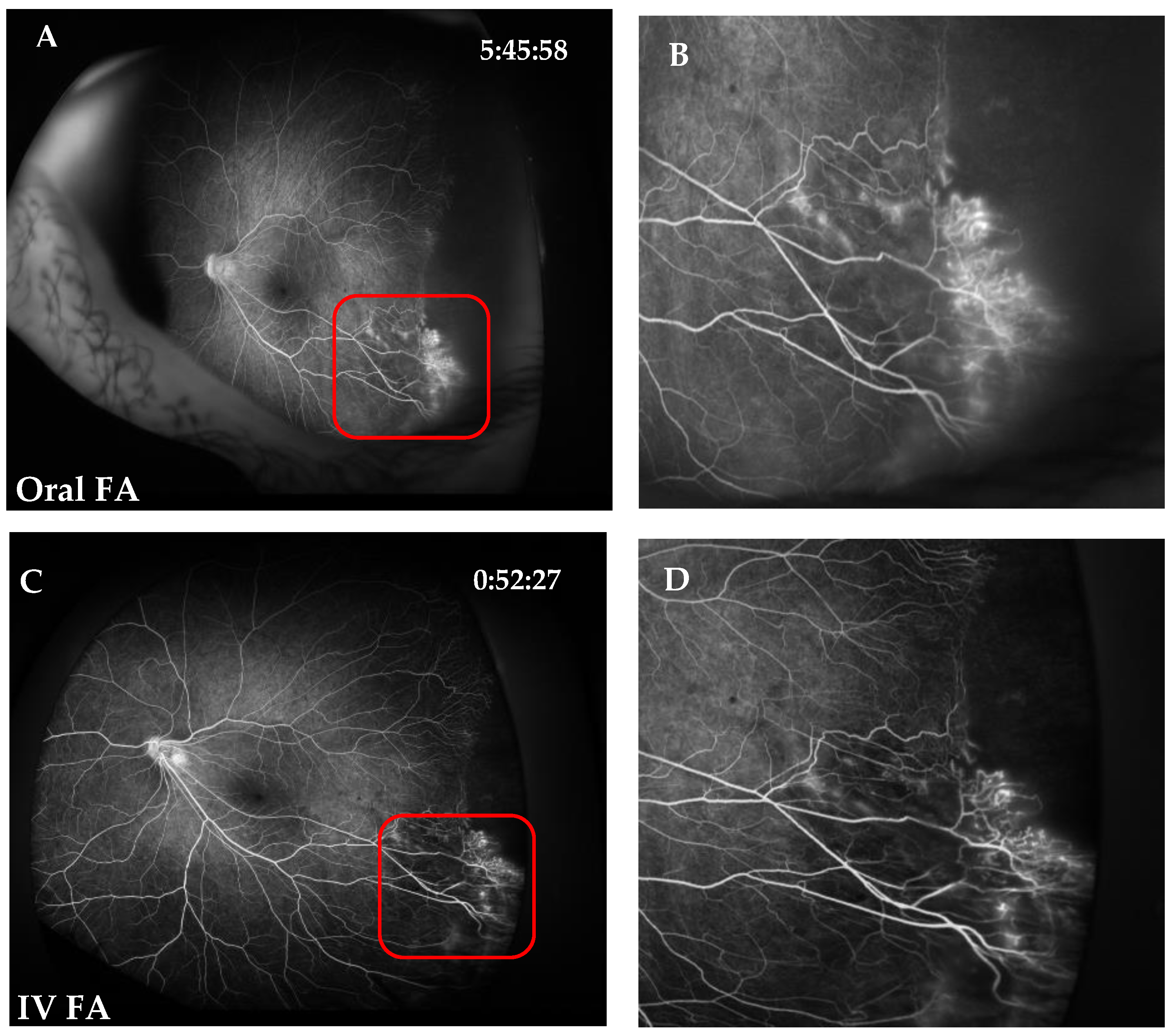 Jcm 11 05421 g003a Jcm 11 05421 g003a