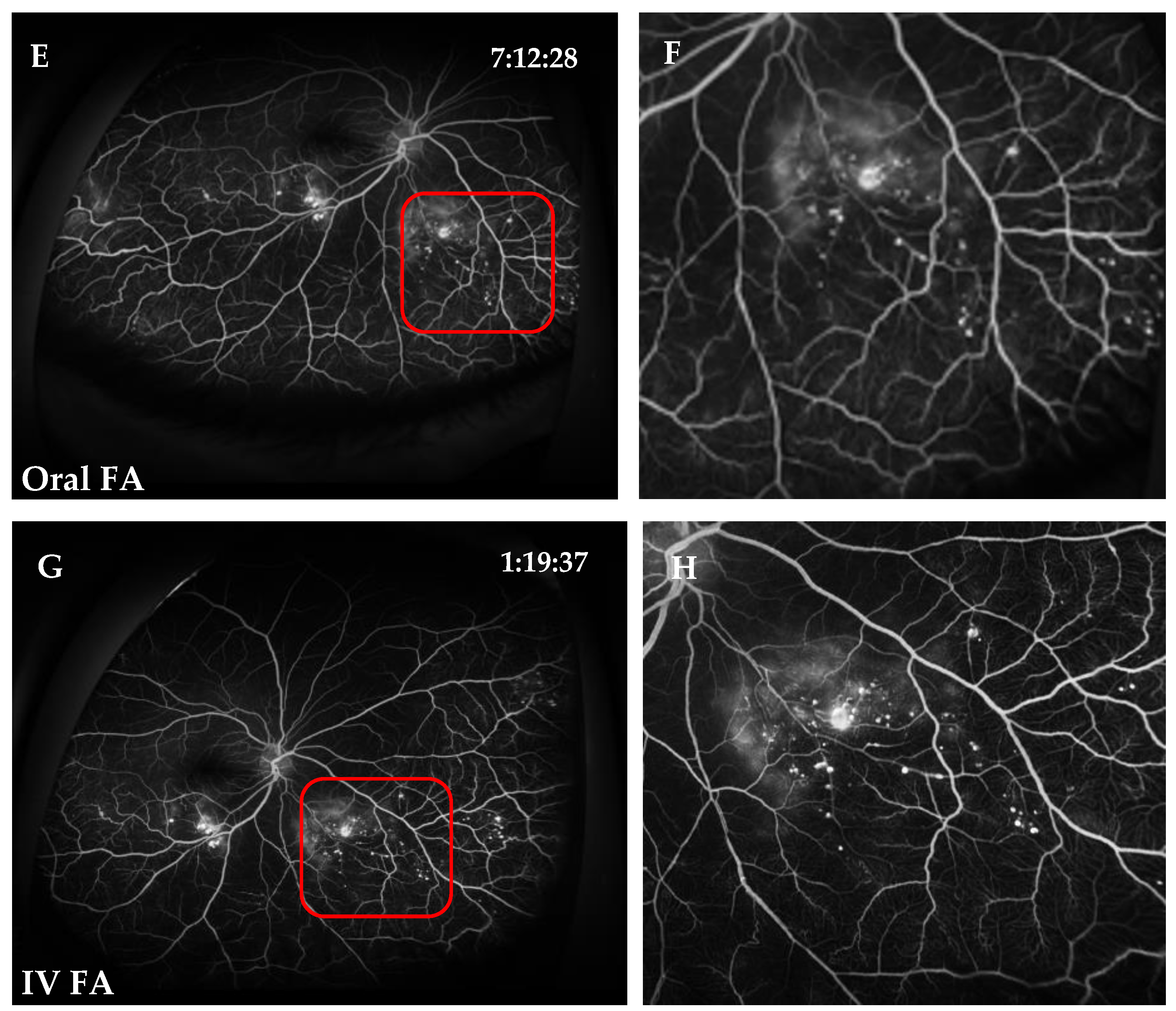 Jcm 11 05421 g003b Jcm 11 05421 g003b