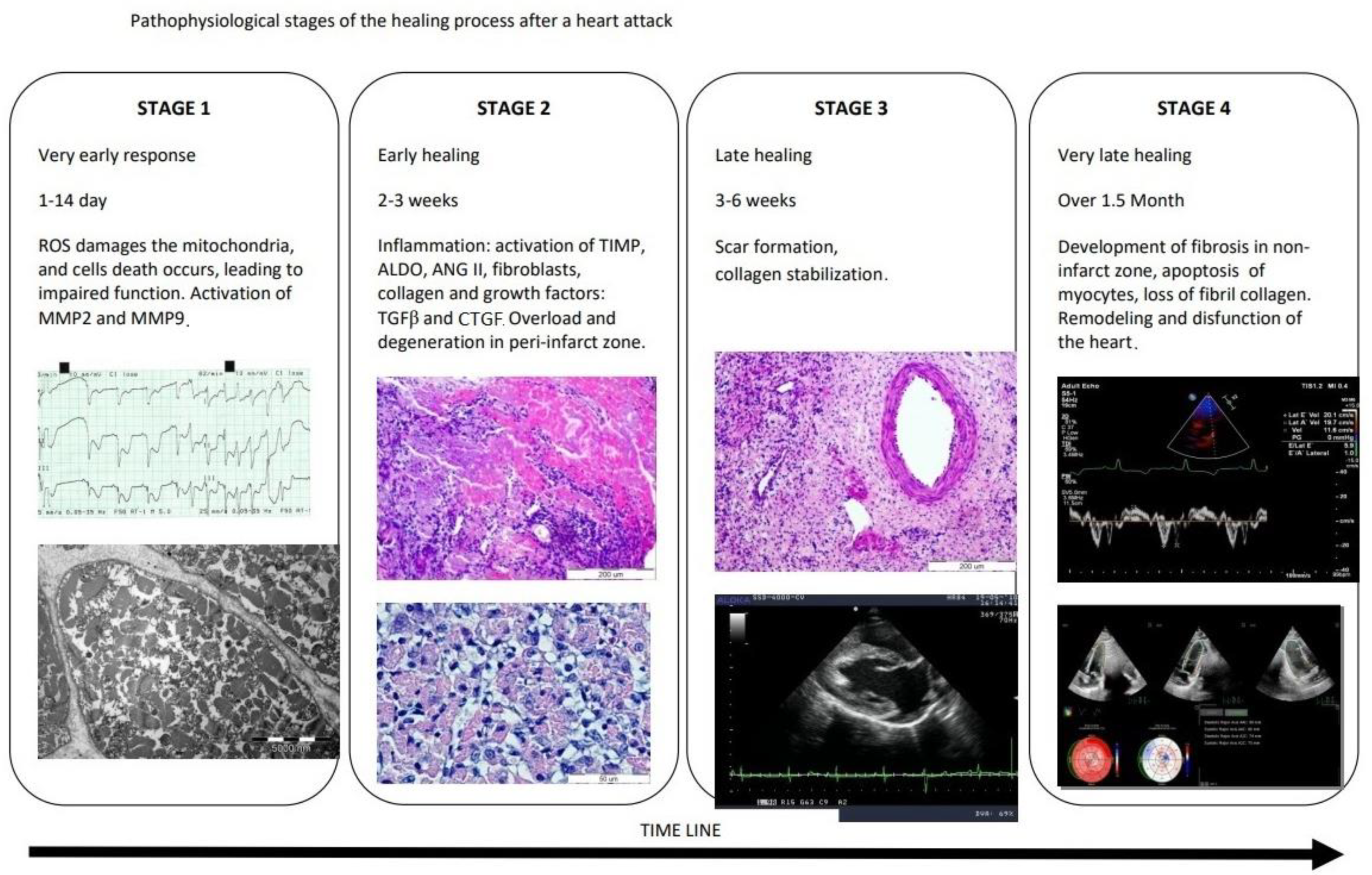 Jcm 11 05430 g001 Jcm 11 05430 g001