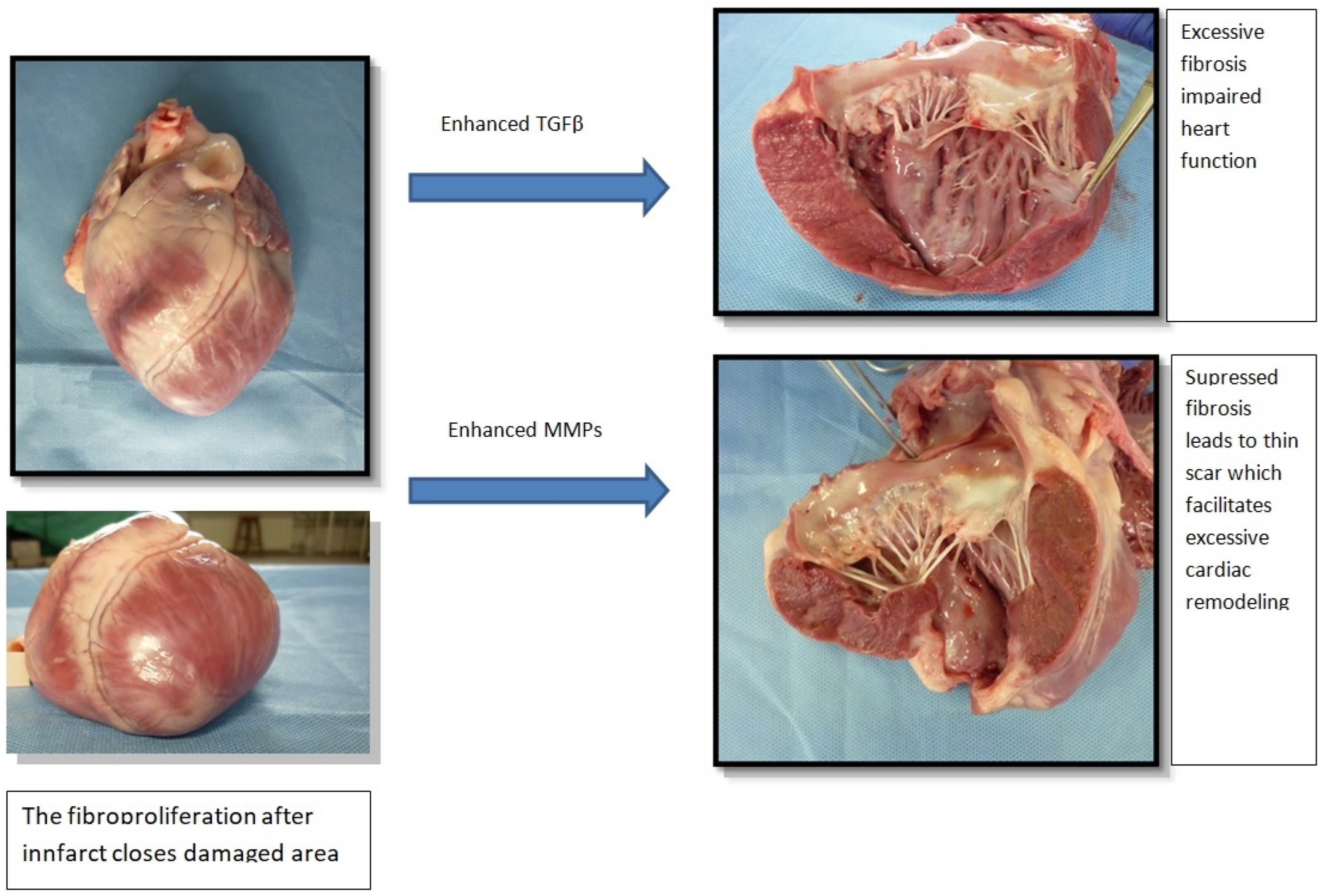 Jcm 11 05430 g002 Jcm 11 05430 g002