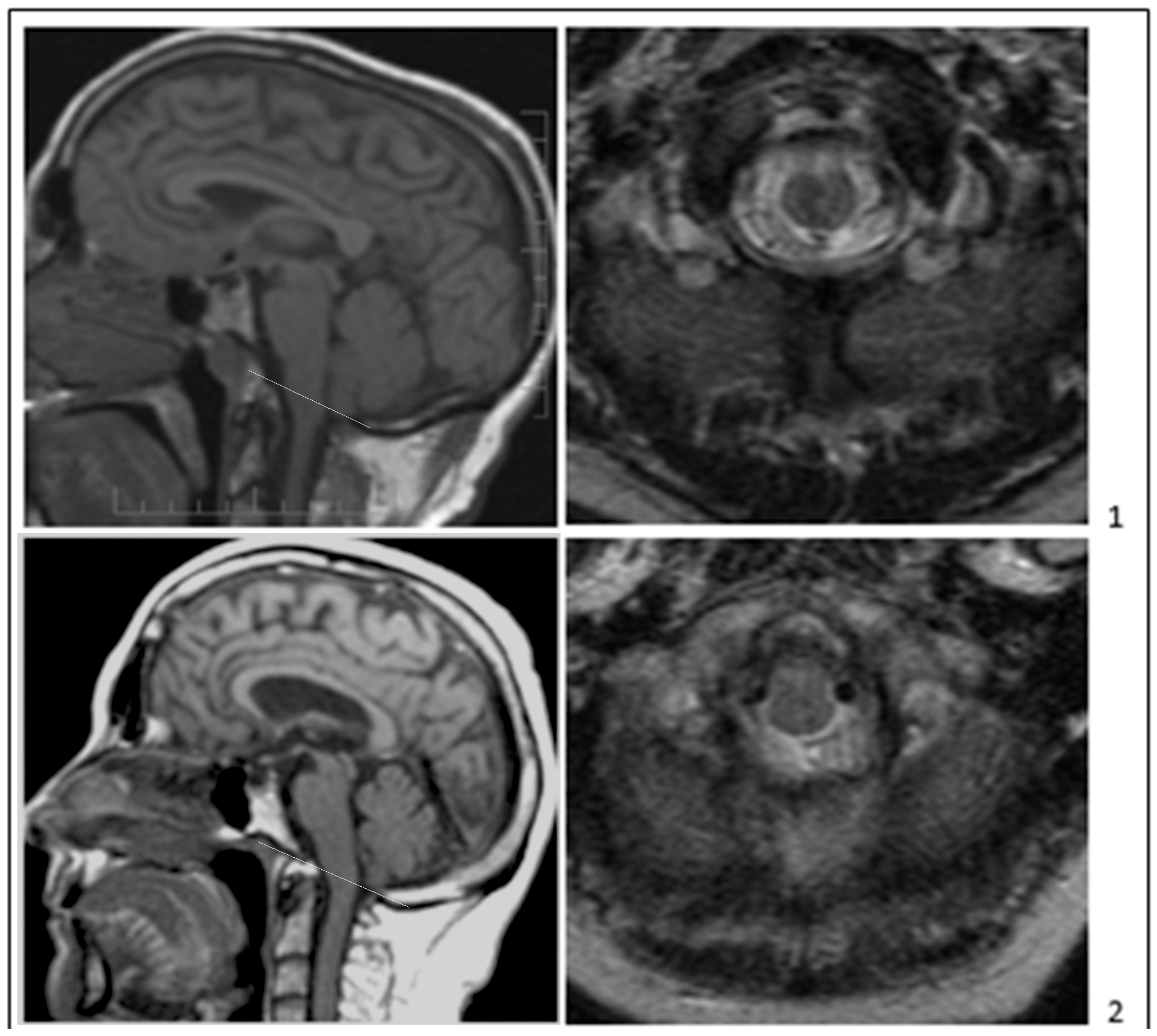 Jcm 11 05472 g002a Jcm 11 05472 g002a