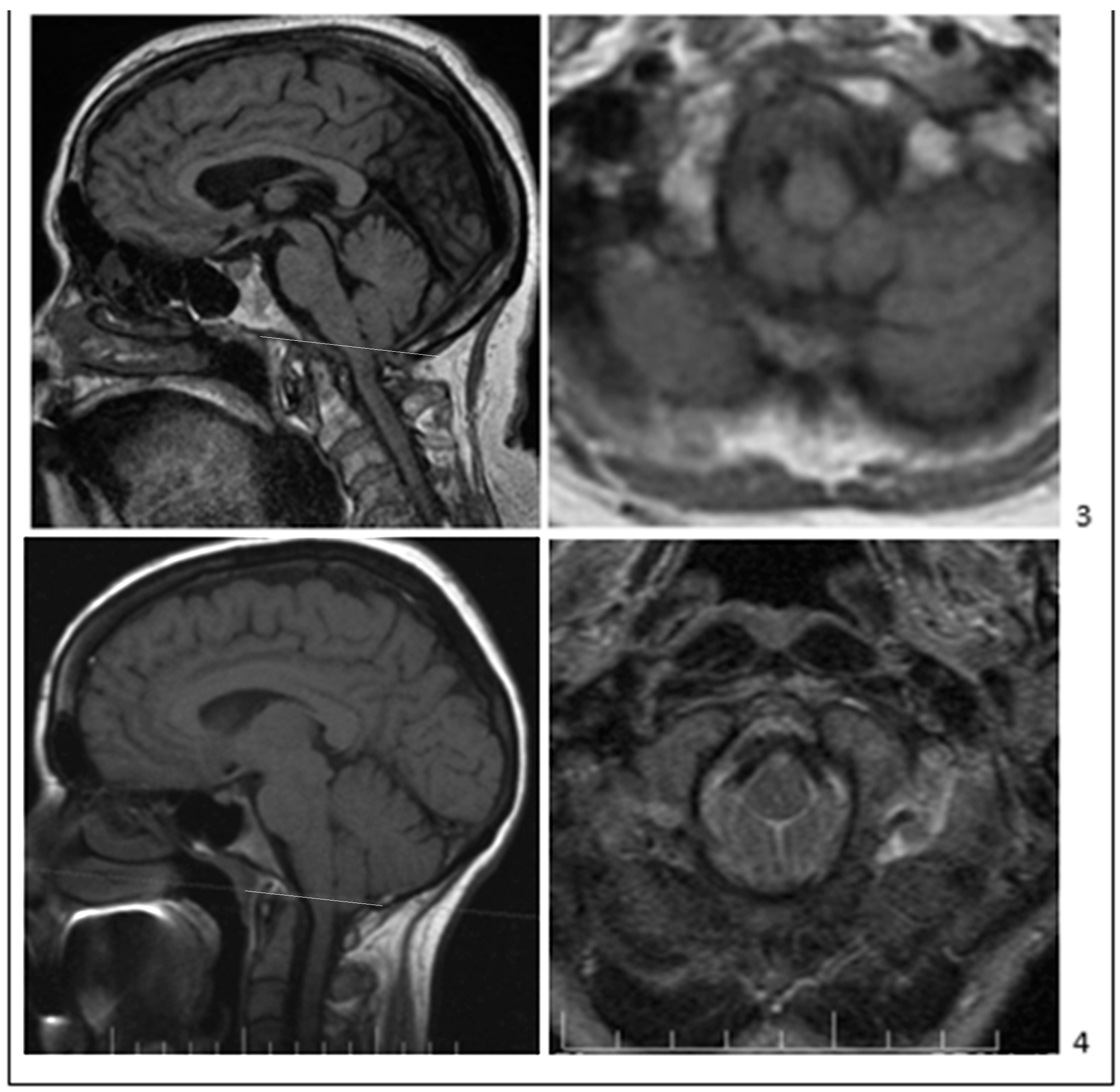 Jcm 11 05472 g002b Jcm 11 05472 g002b