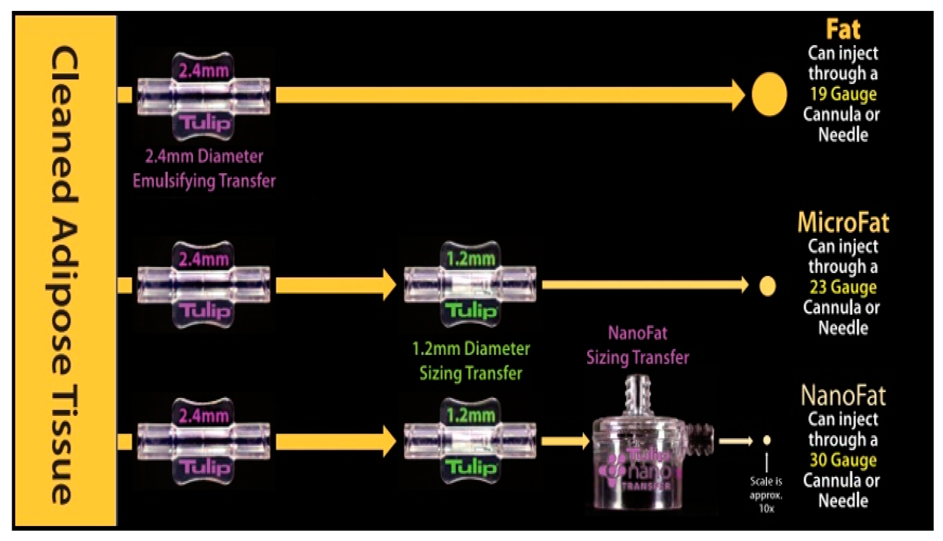 Jcm 11 05489 g001 550