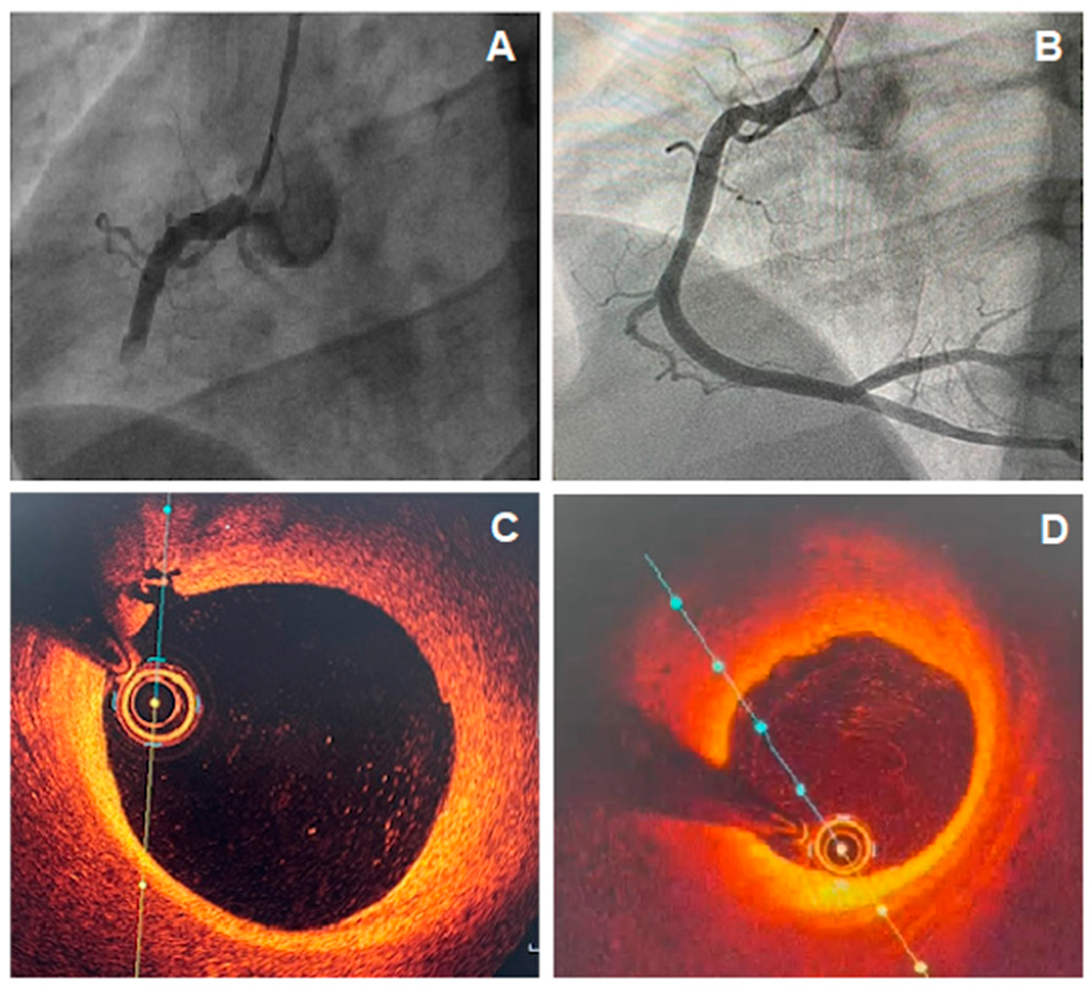 Jcm 11 05497 g001 Jcm 11 05497 g001