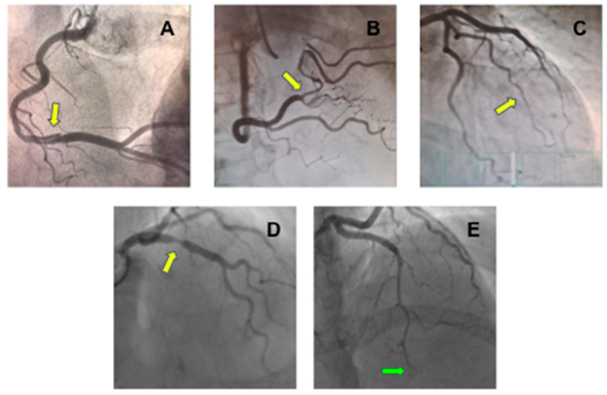 Jcm 11 05497 g002 Jcm 11 05497 g002