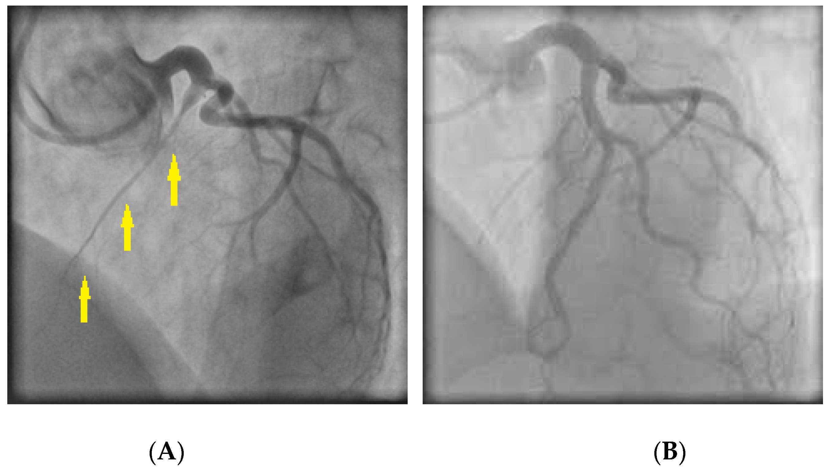 Jcm 11 05497 g004 Jcm 11 05497 g004