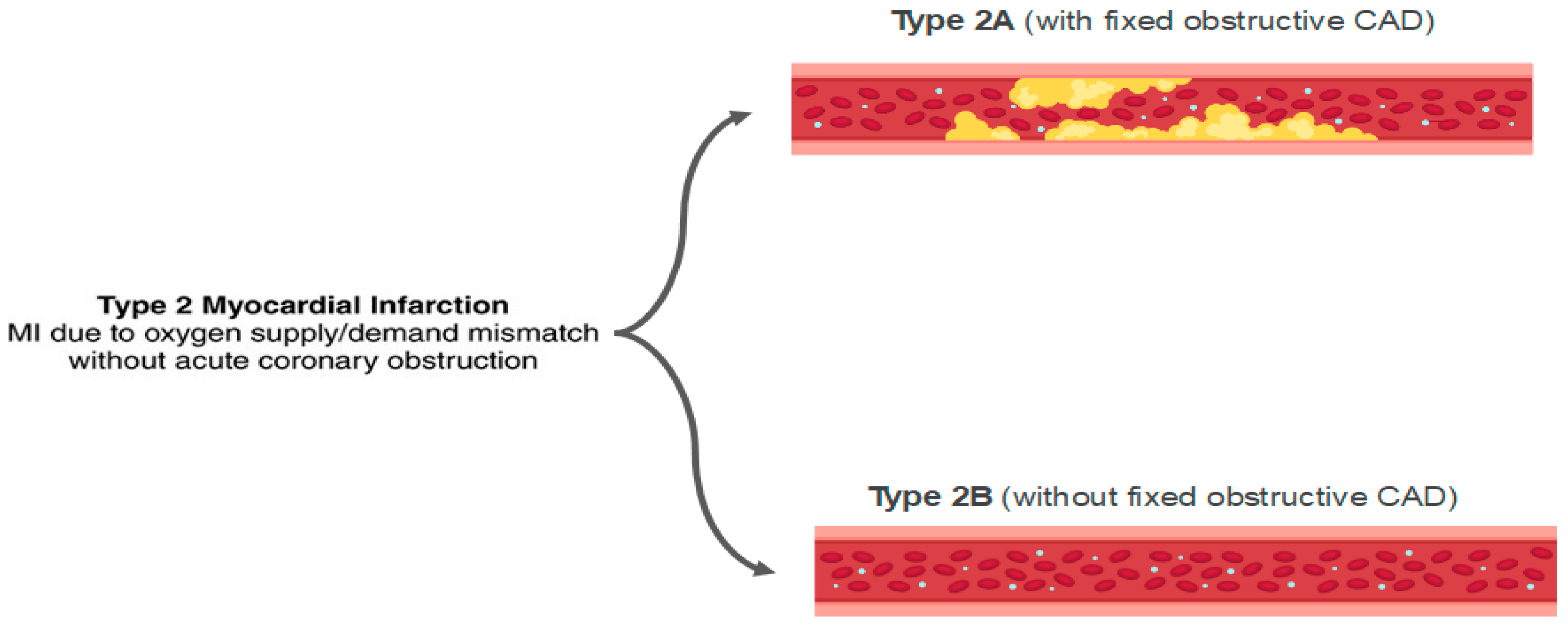 Jcm 11 05497 g008 Jcm 11 05497 g008