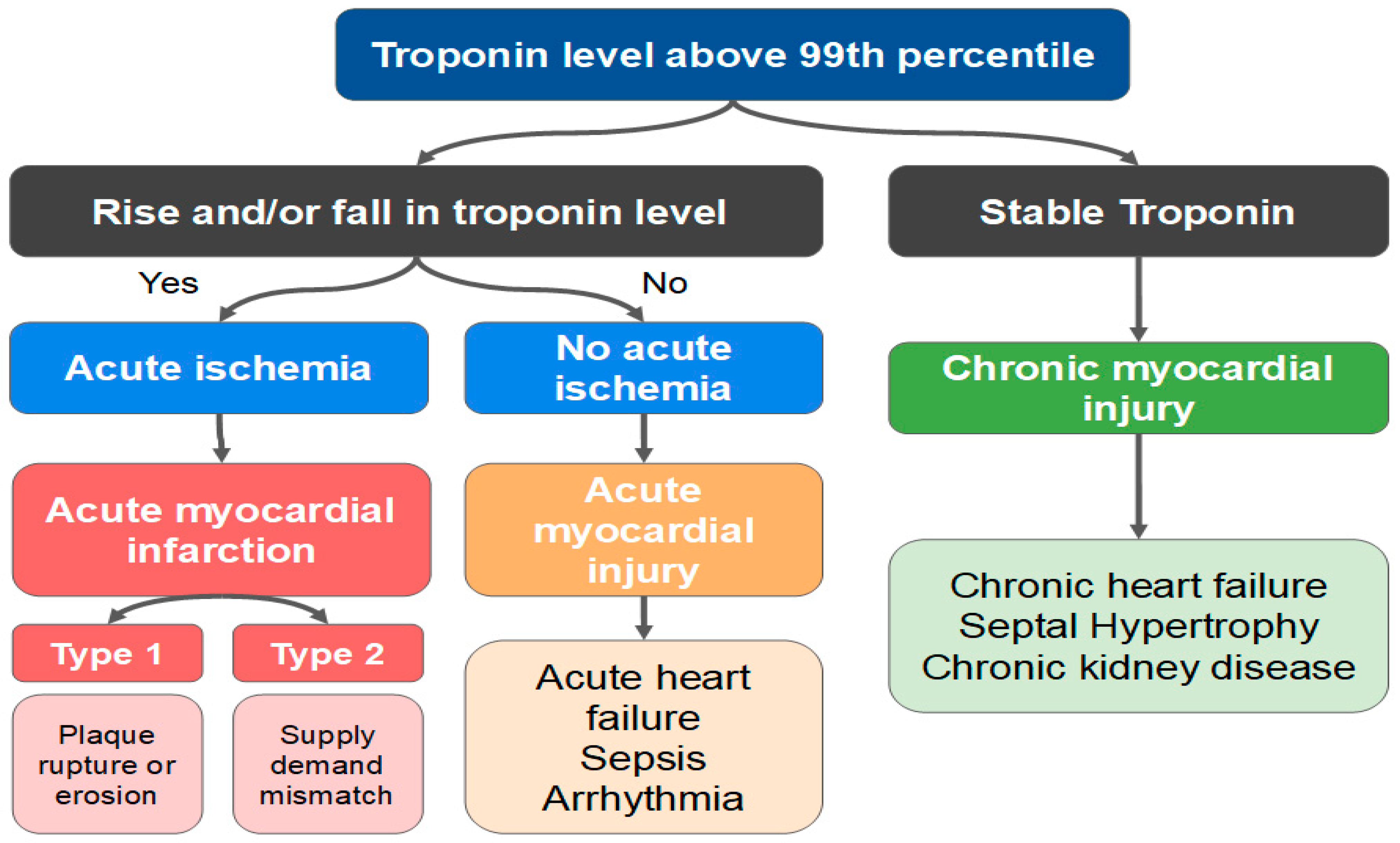 Jcm 11 05497 g009 Jcm 11 05497 g009