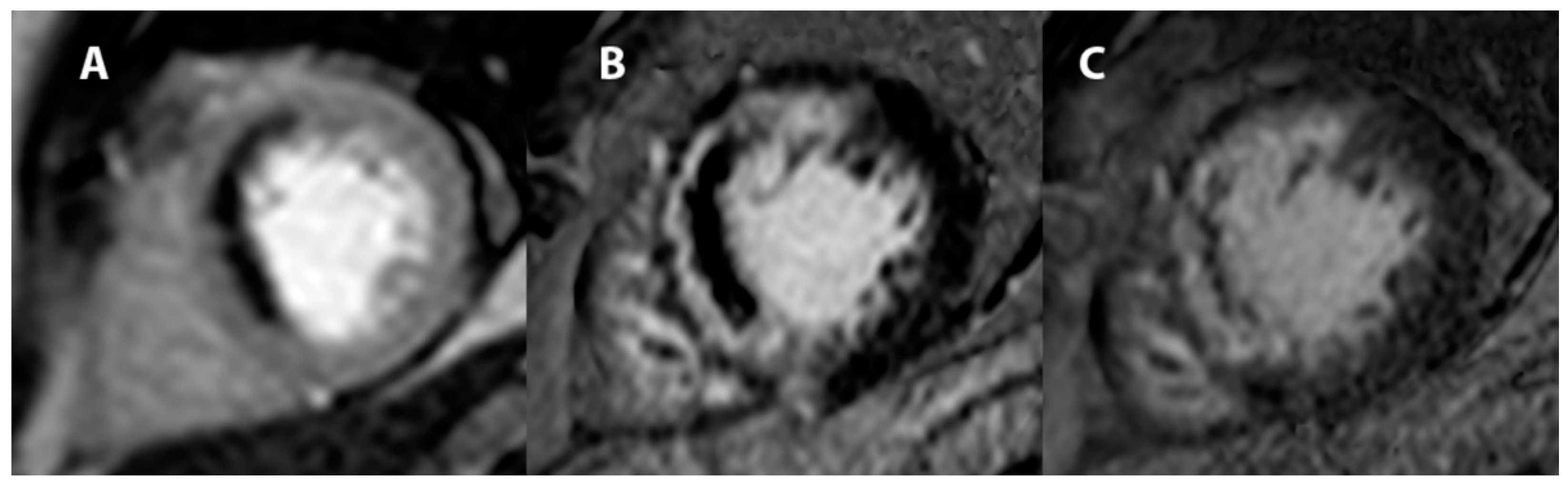 Jcm 11 05497 g012 Jcm 11 05497 g012