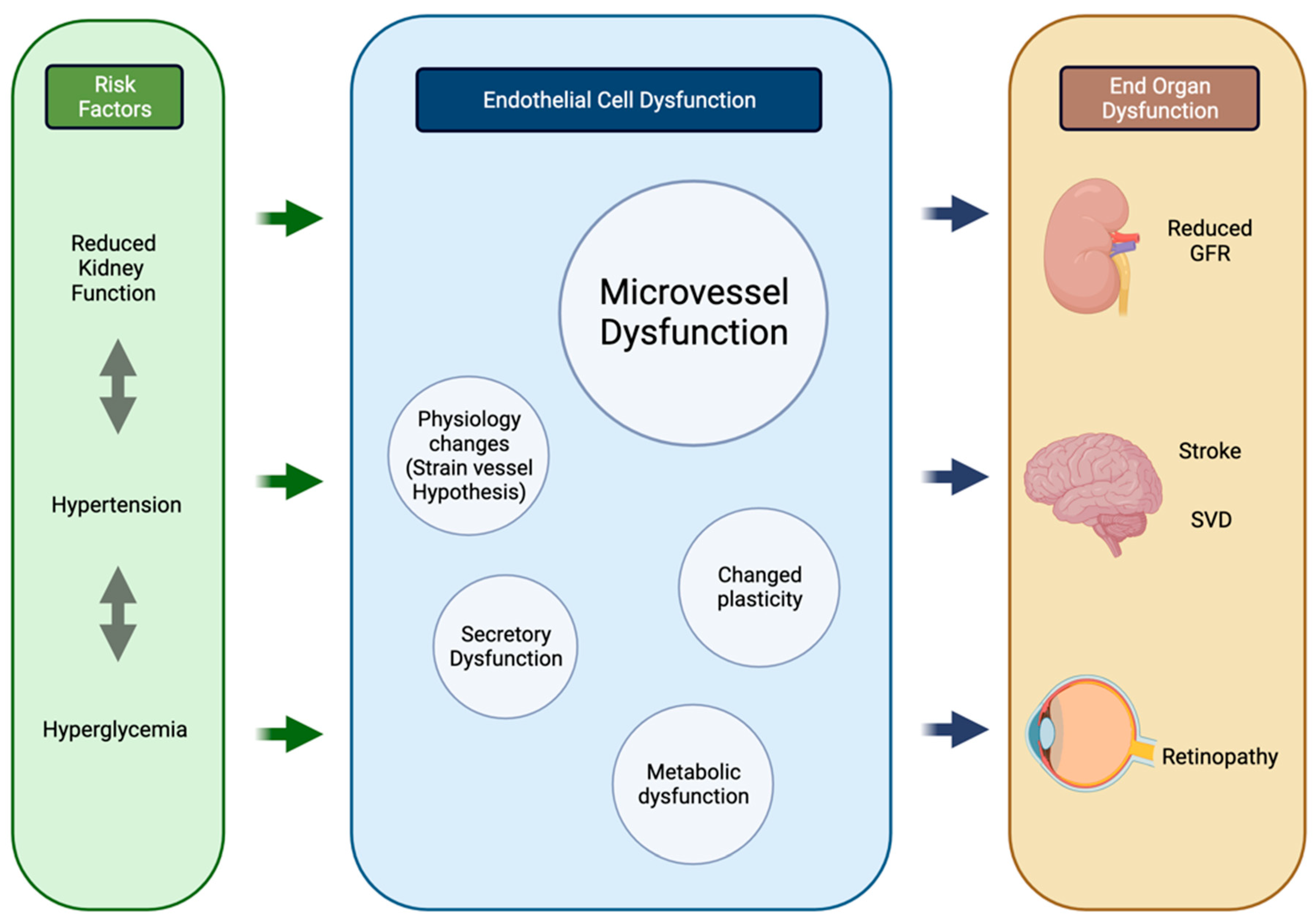 Jcm 11 05546 g002 Jcm 11 05546 g002