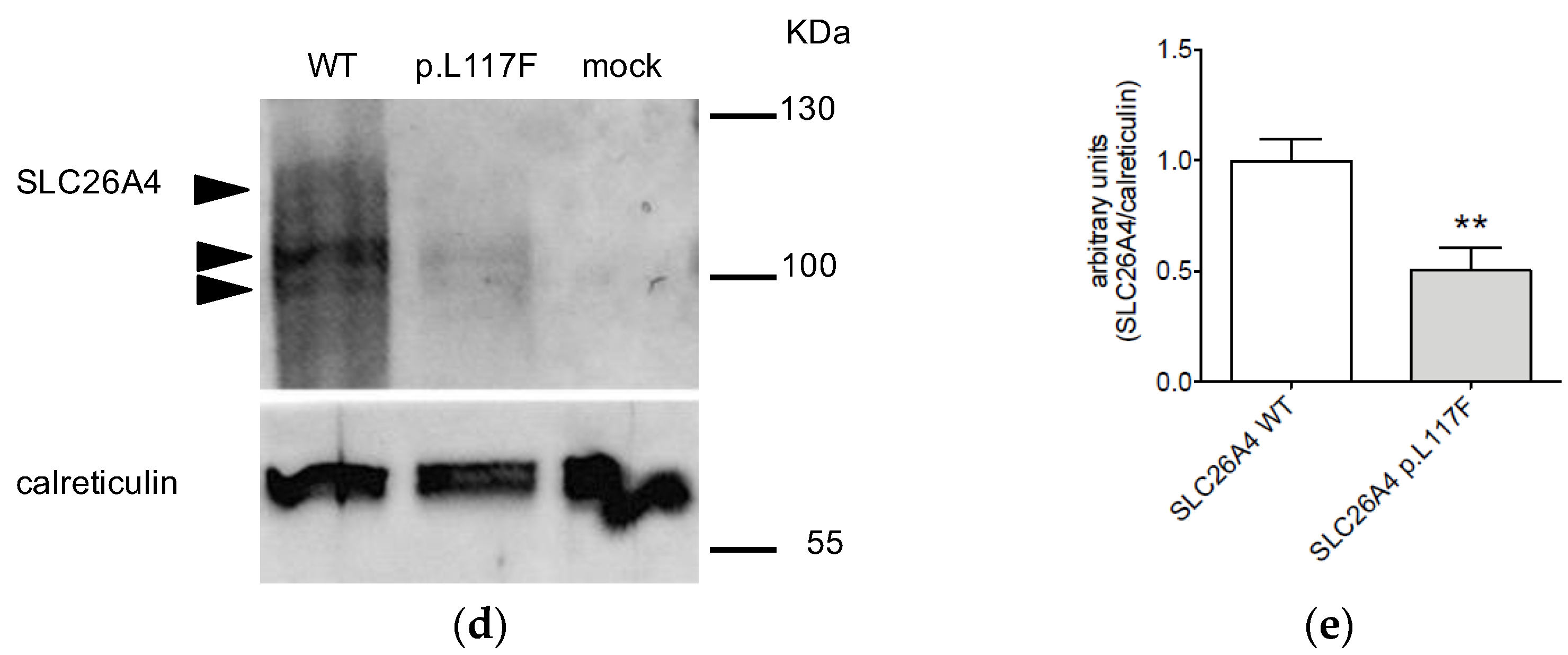 Jcm 11 05549 g002b