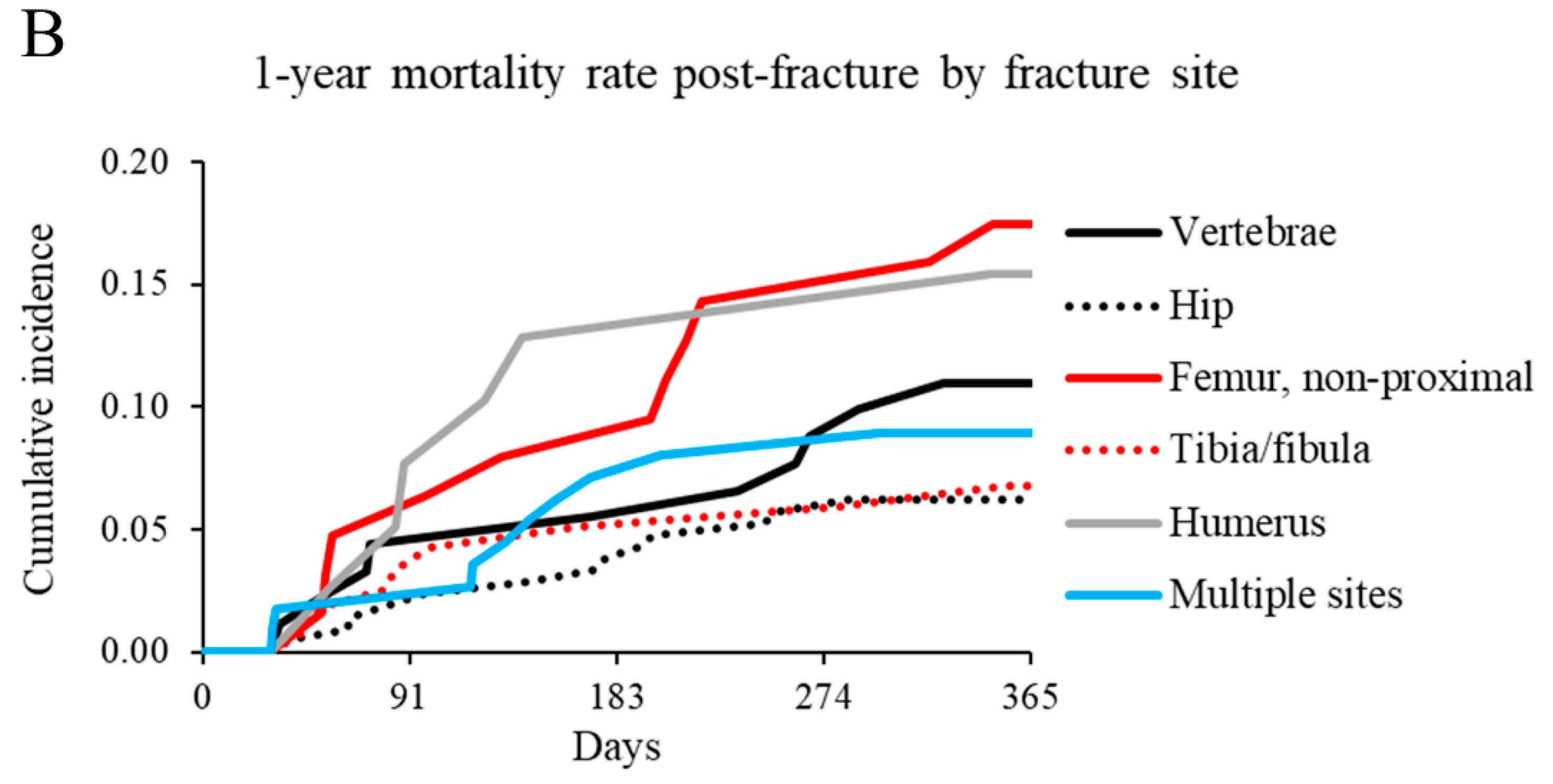 Cerebral Palsy Adults Life Expectancy