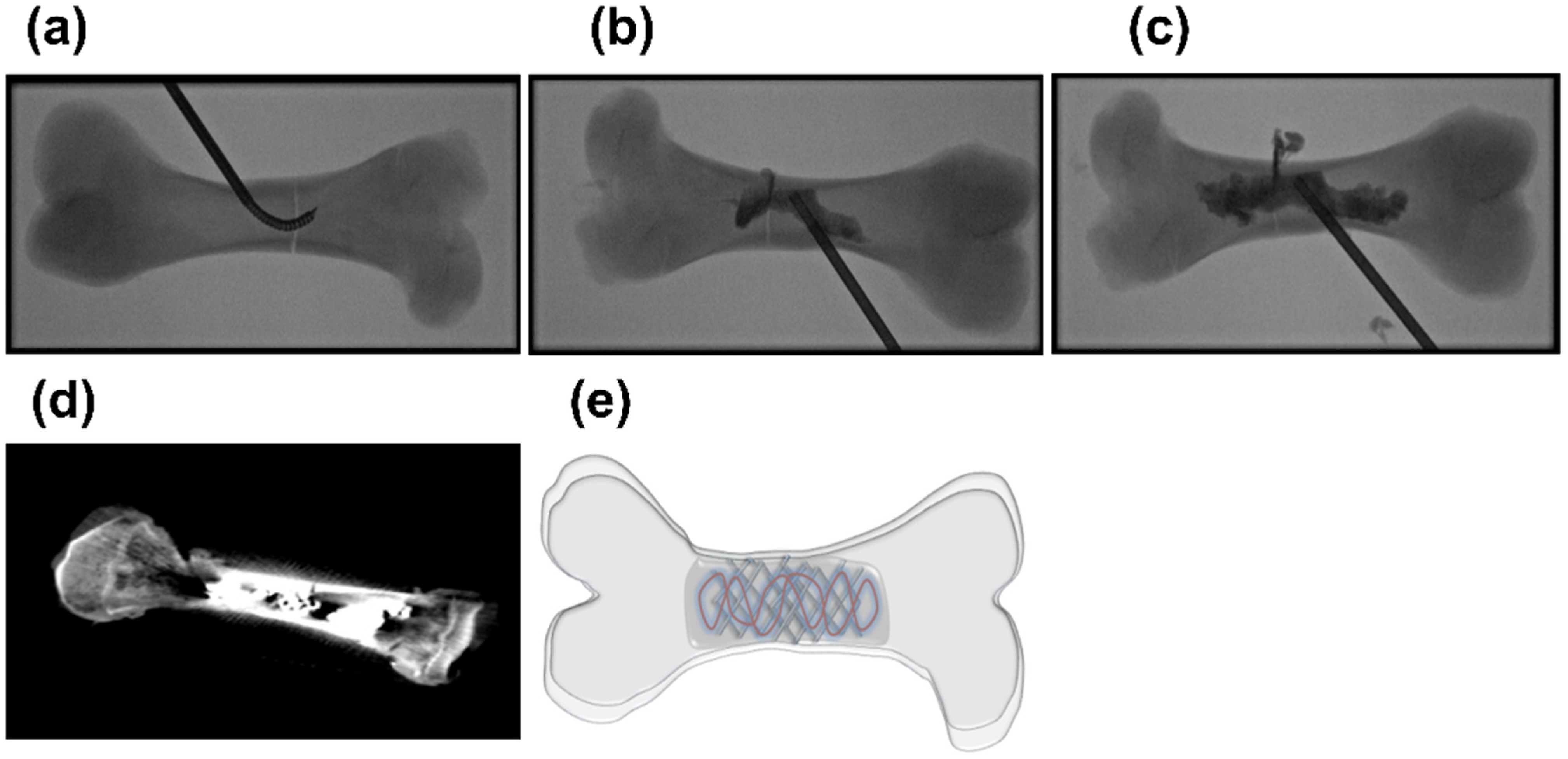 Jcm 11 05572 g002 Jcm 11 05572 g002