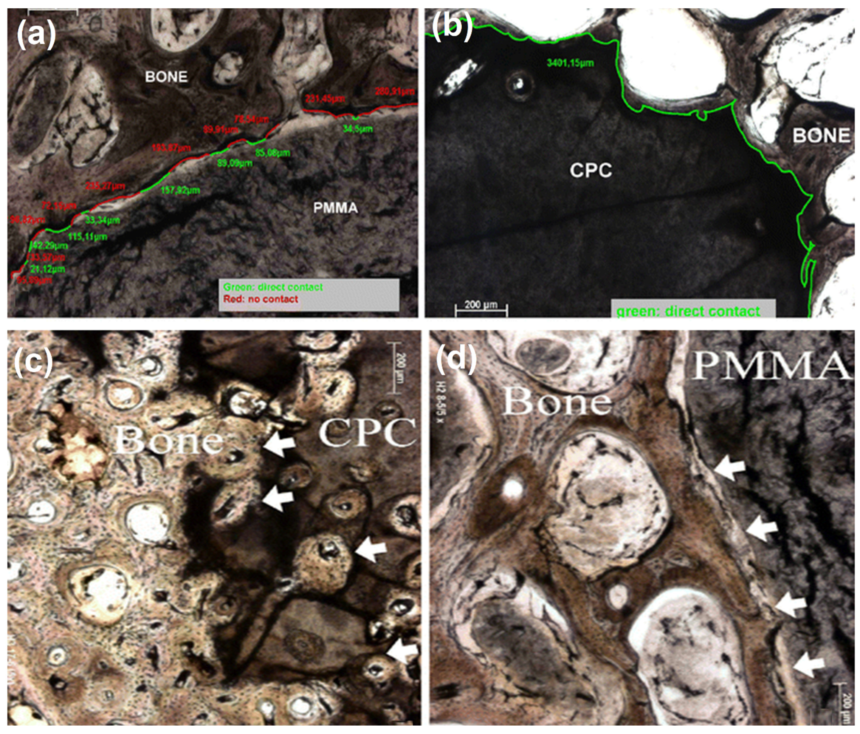 Jcm 11 05572 g005 Jcm 11 05572 g005