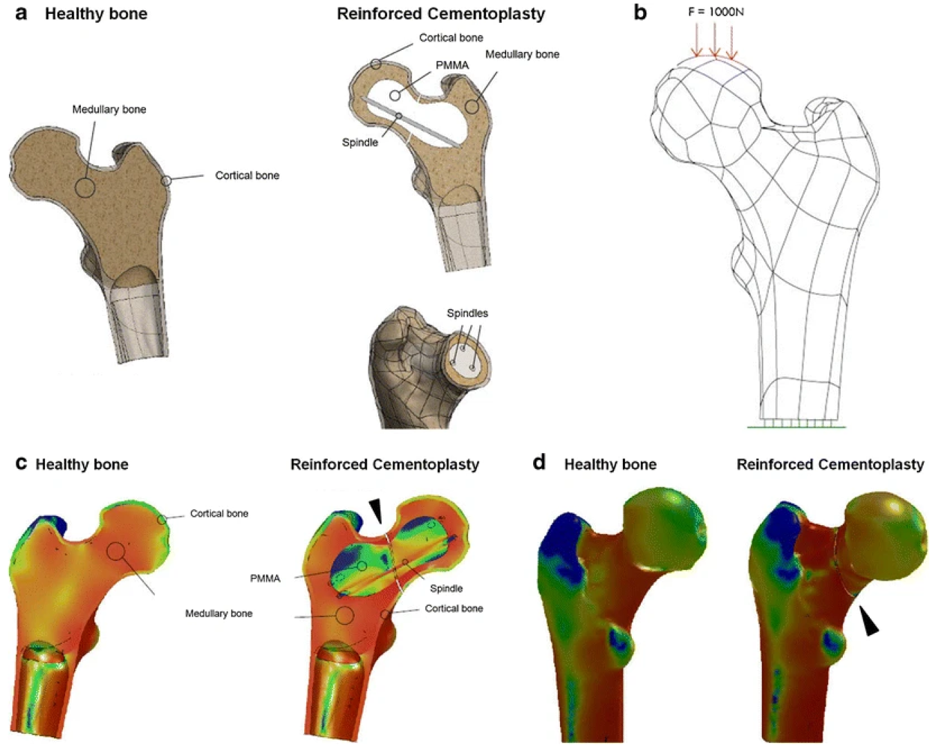 Jcm 11 05572 g008 Jcm 11 05572 g008