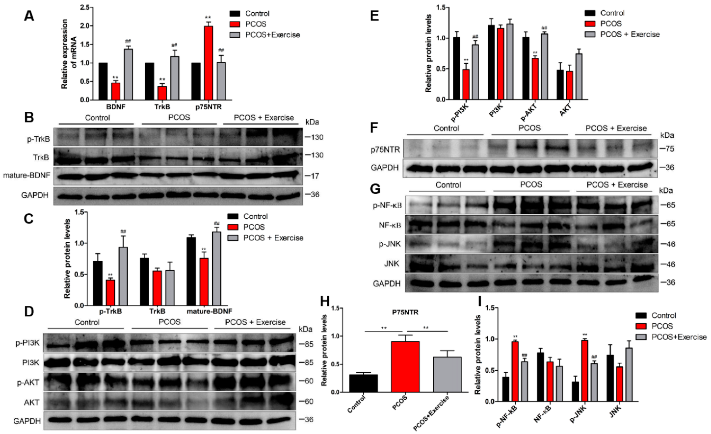 Jcm 11 05584 g004 Jcm 11 05584 g004