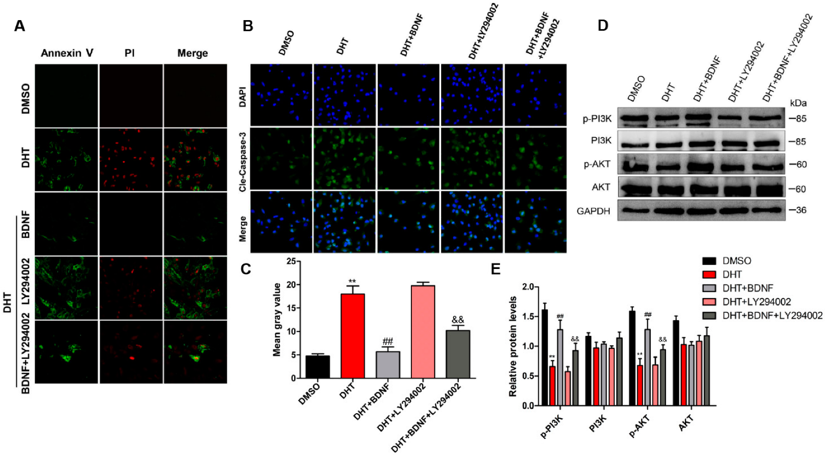 Jcm 11 05584 g006 Jcm 11 05584 g006