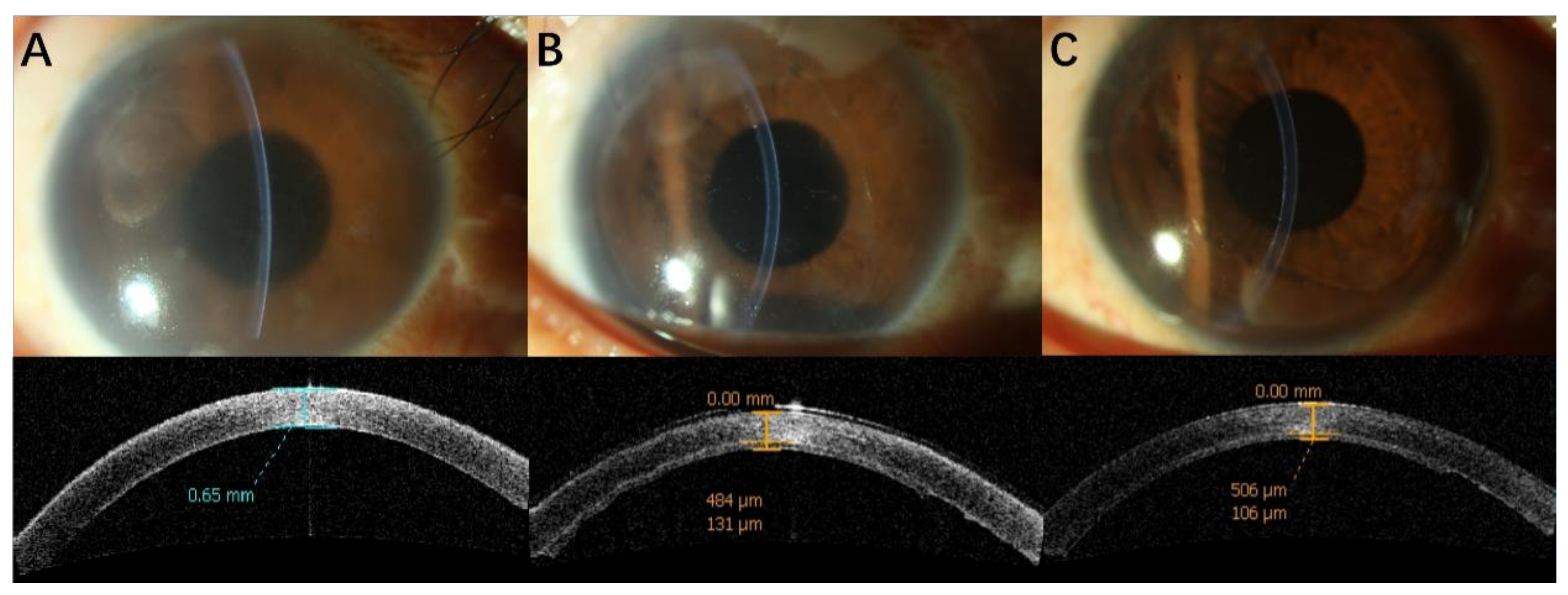 Jcm 11 05601 g001 550