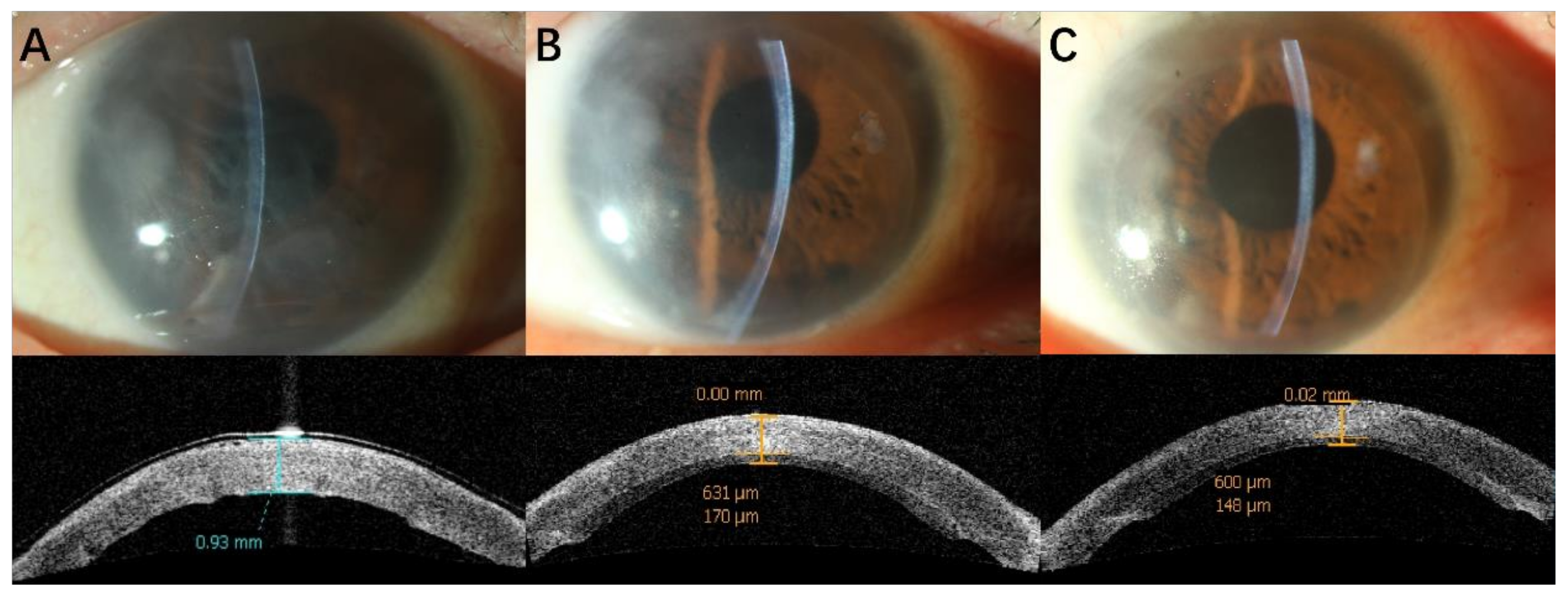 Jcm 11 05601 g002 550