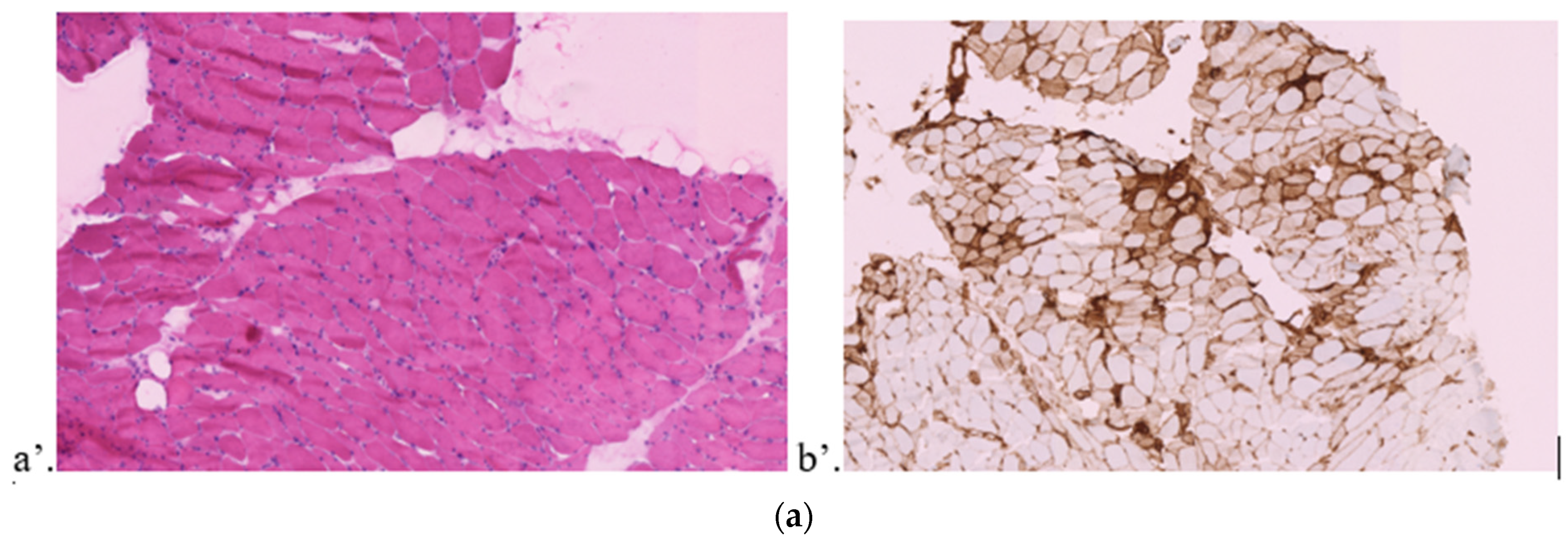 Jcm 11 05611 g001a Jcm 11 05611 g001a