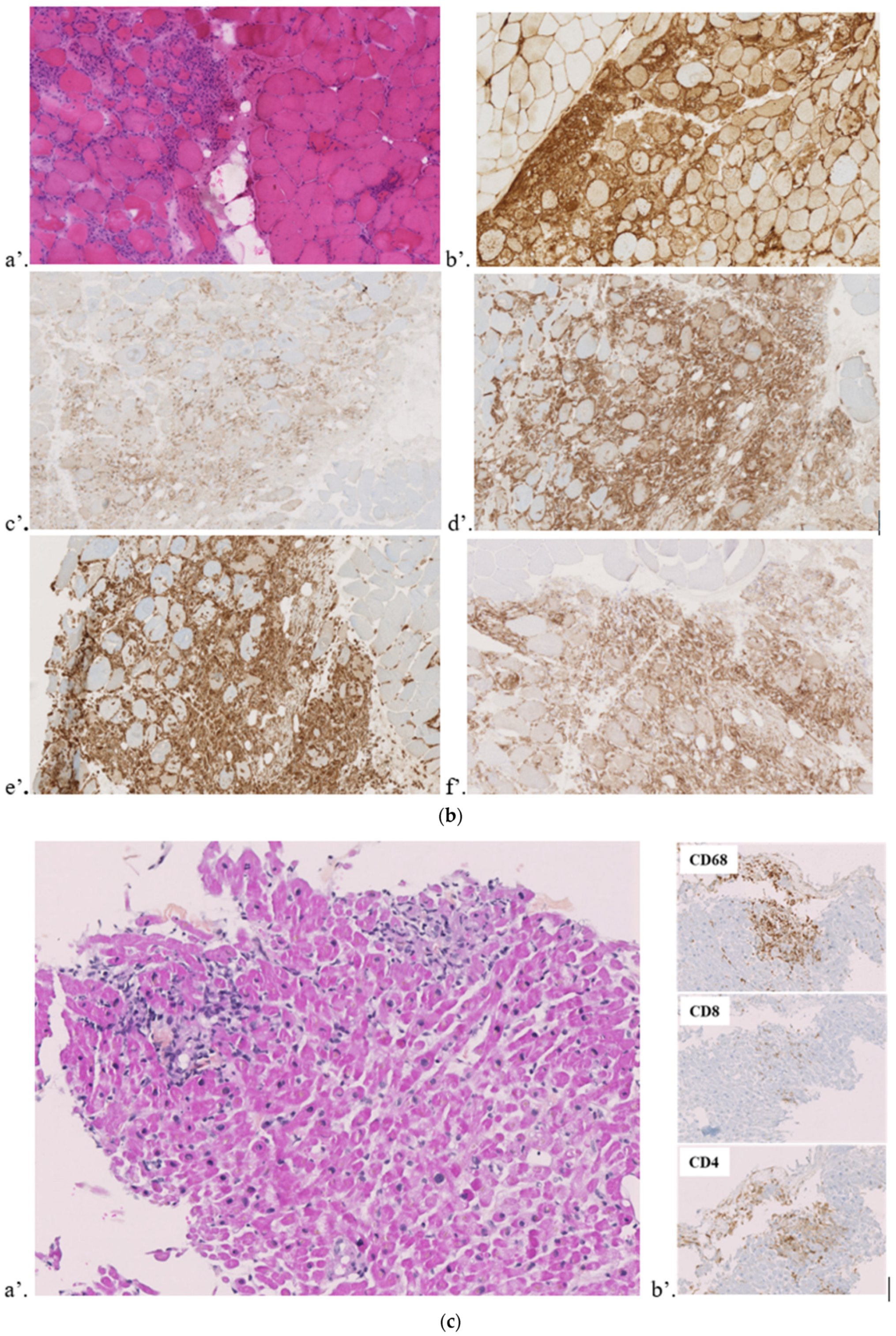 Jcm 11 05611 g001b Jcm 11 05611 g001b