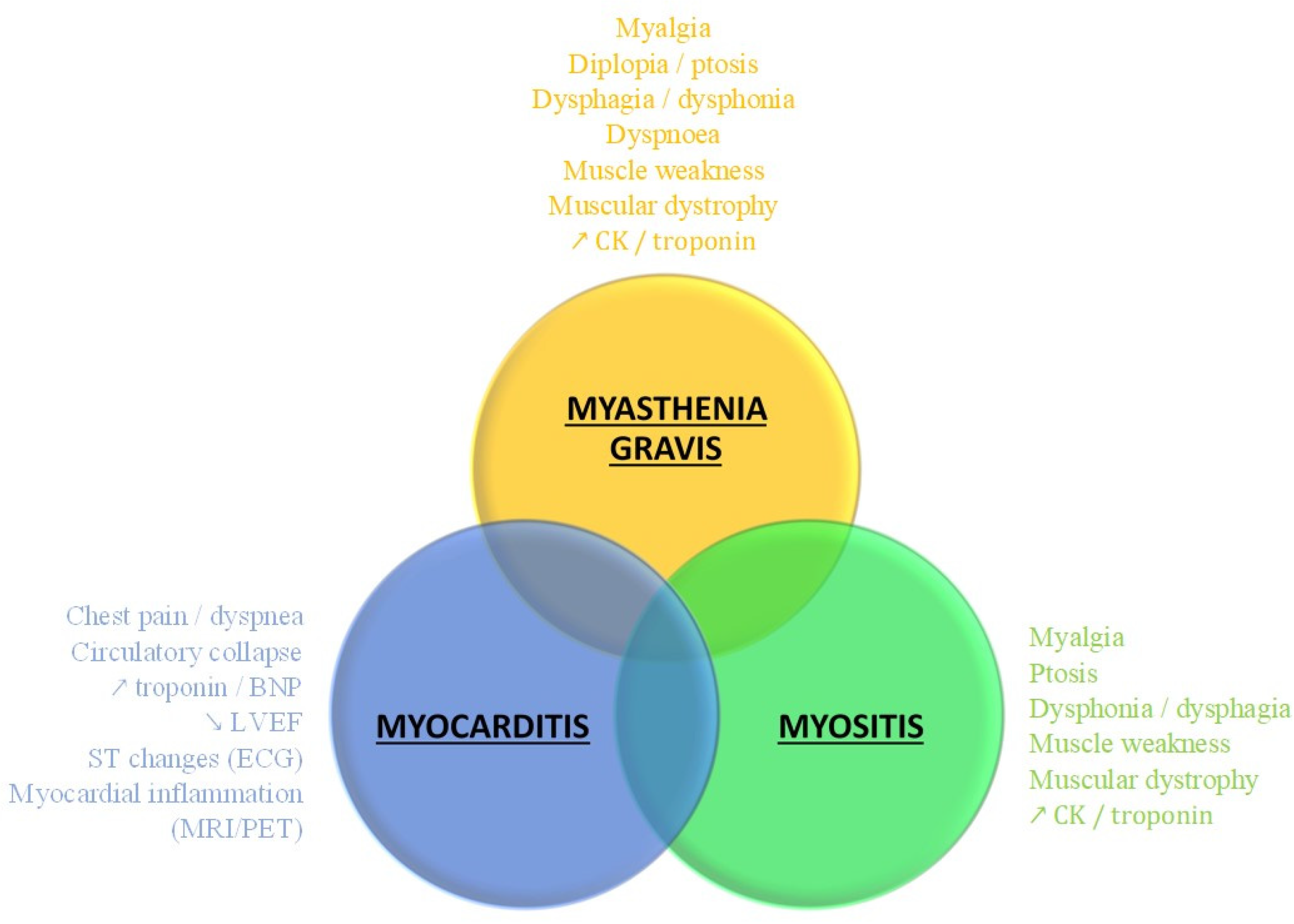 Jcm 11 05611 g003 Jcm 11 05611 g003
