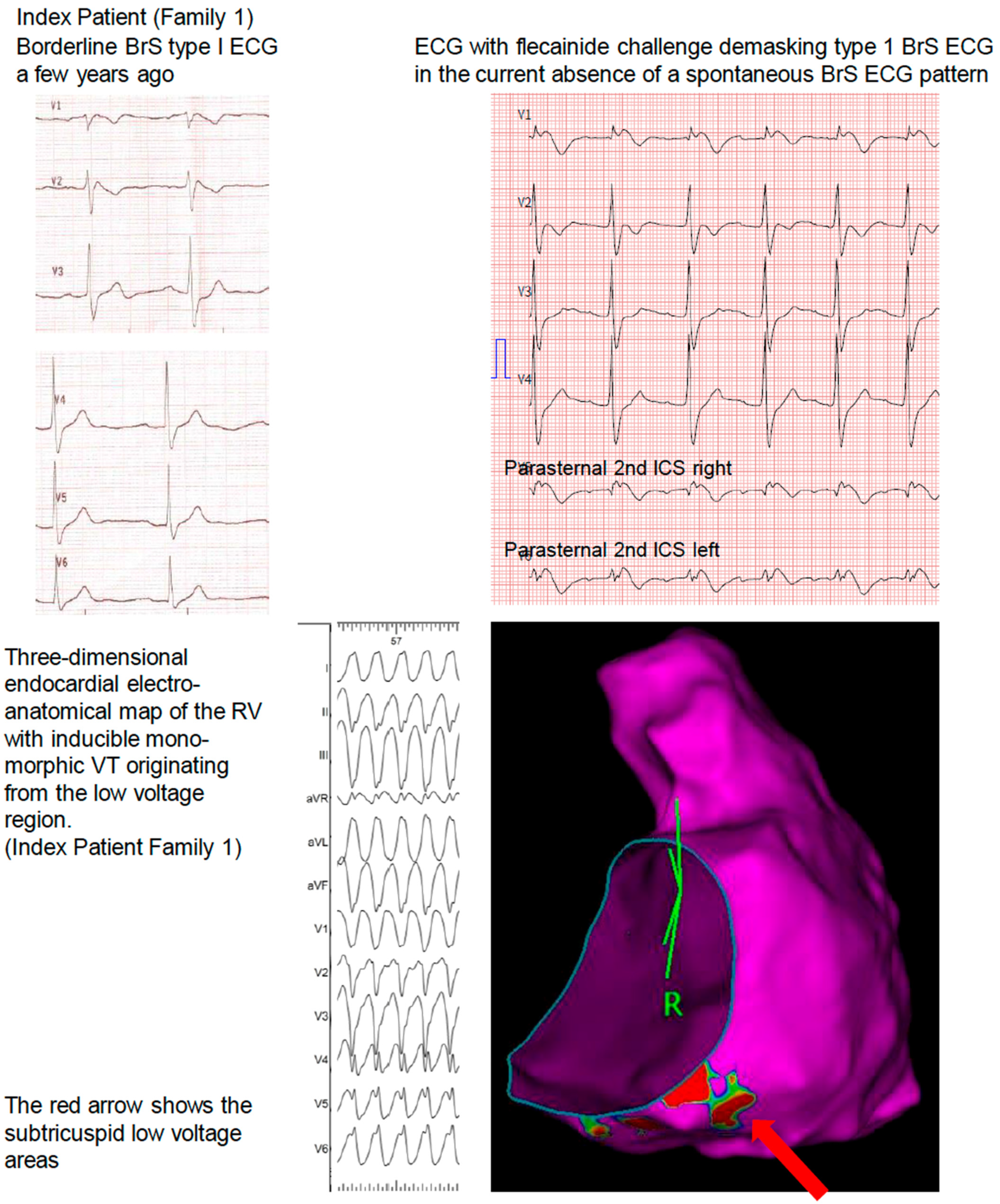 Jcm 11 05625 g001 Jcm 11 05625 g001