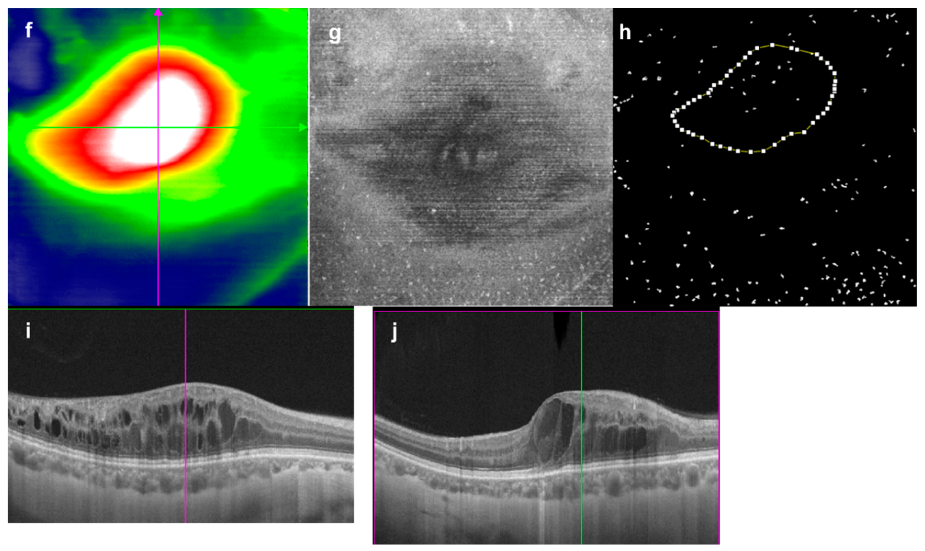 Jcm 11 05636 g001b Jcm 11 05636 g001b