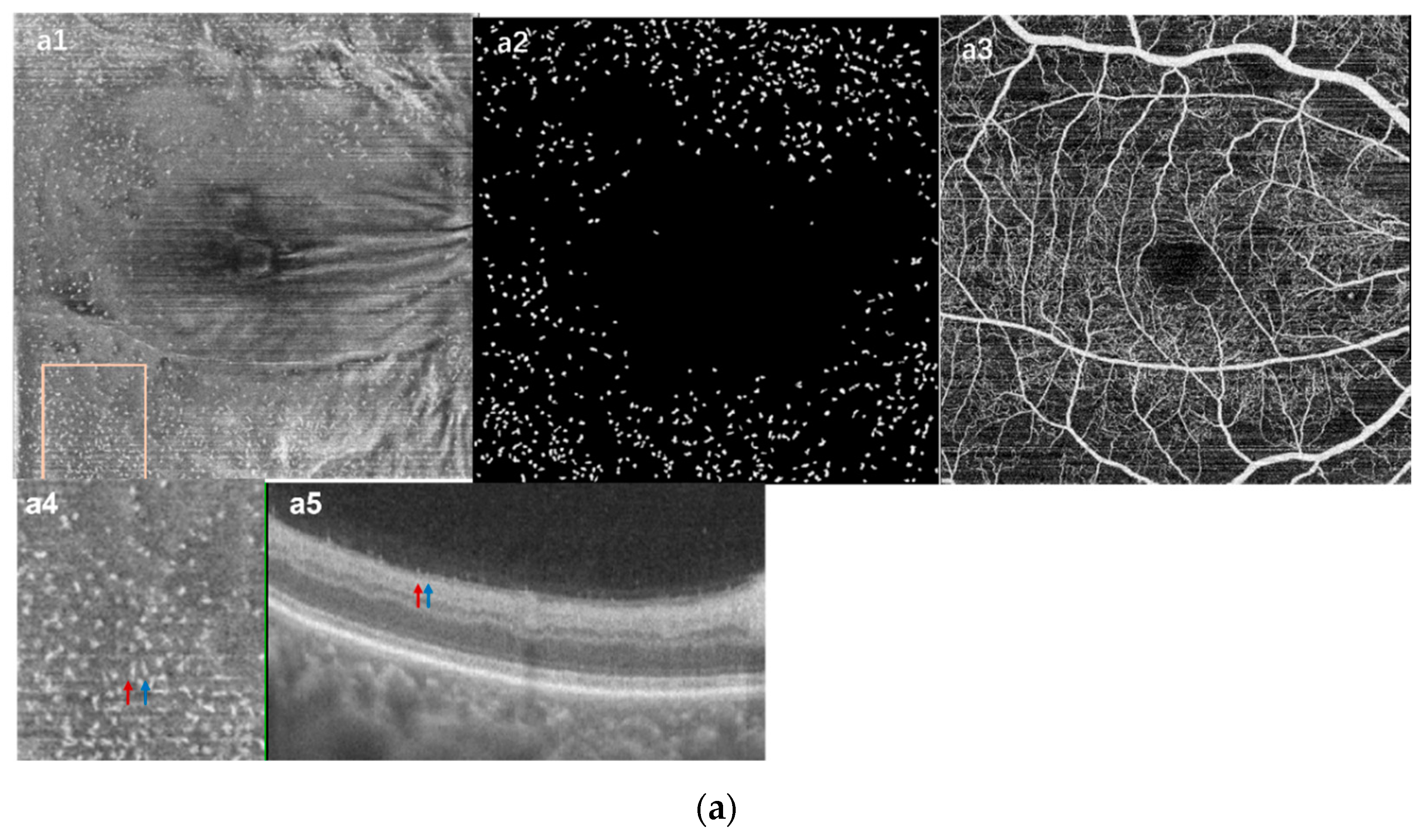 Jcm 11 05636 g003a Jcm 11 05636 g003a