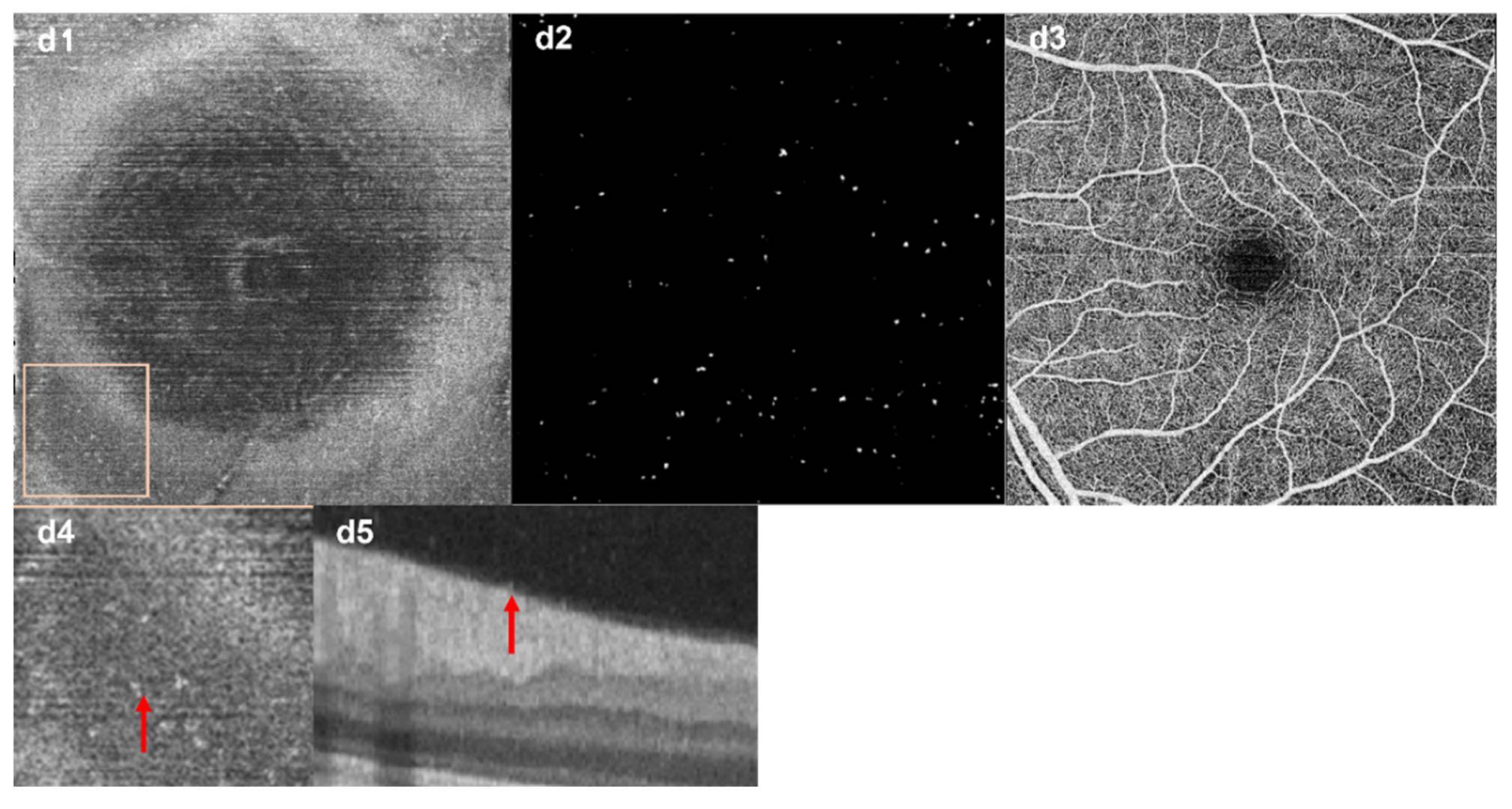 Jcm 11 05636 g003c Jcm 11 05636 g003c