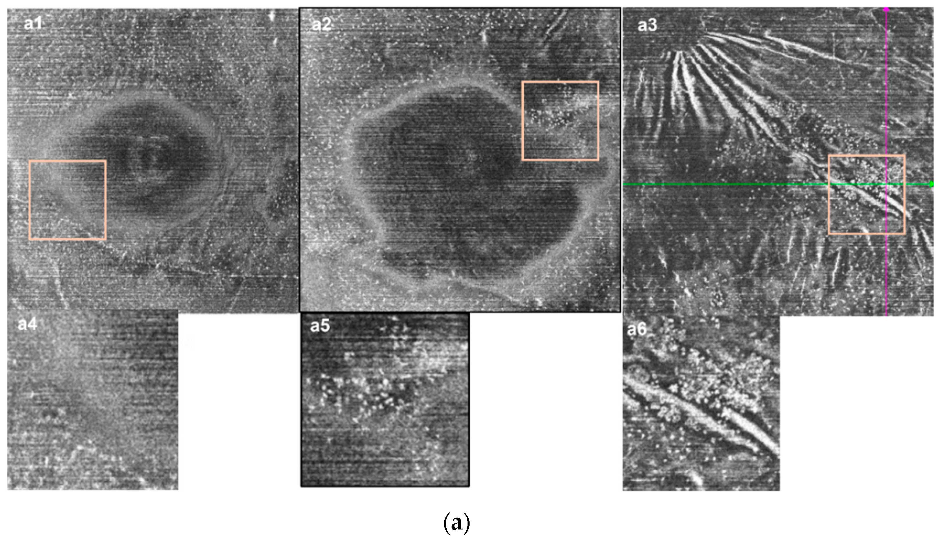 Jcm 11 05636 g004a Jcm 11 05636 g004a