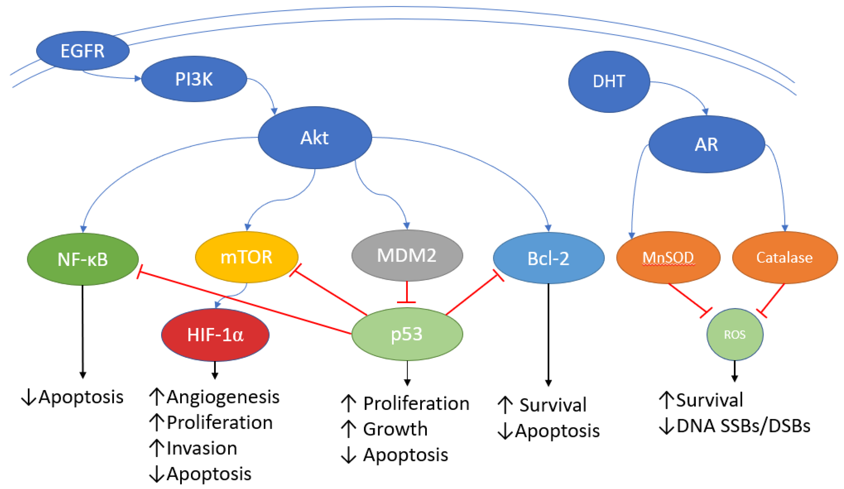 Jcm 11 05637 g001 Jcm 11 05637 g001
