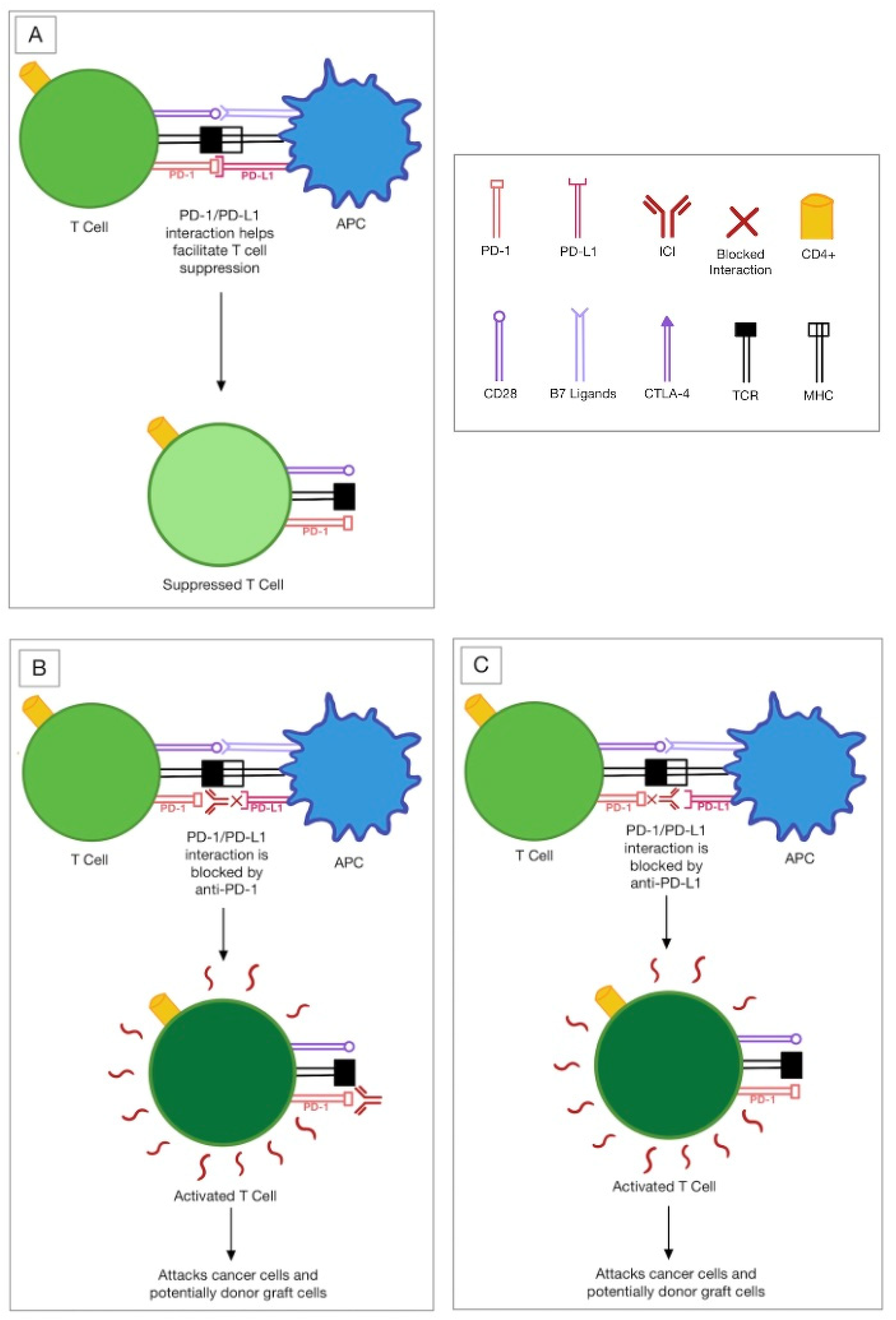 Jcm 11 05647 g002 Jcm 11 05647 g002