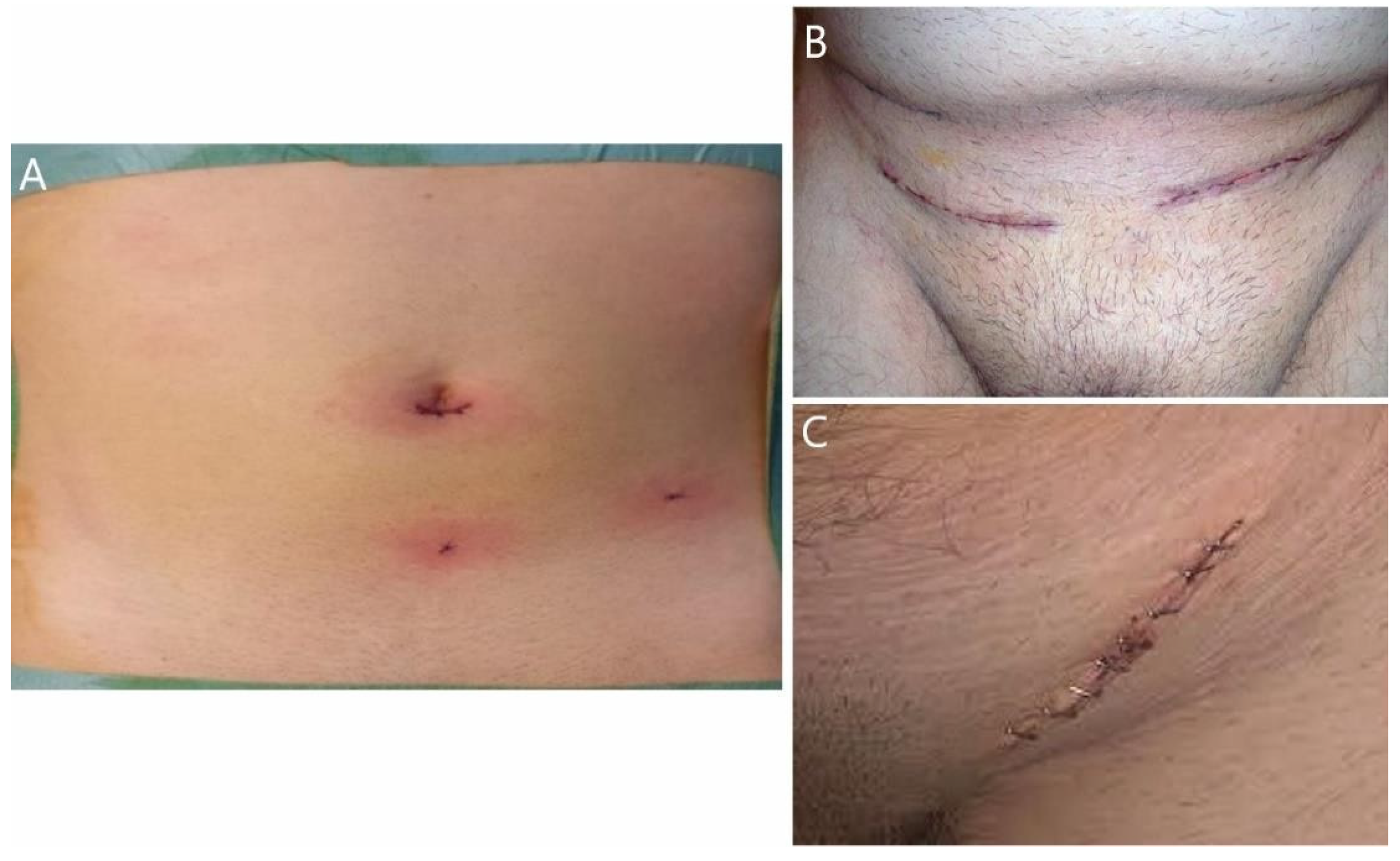 Jcm 11 05652 g002 Jcm 11 05652 g002